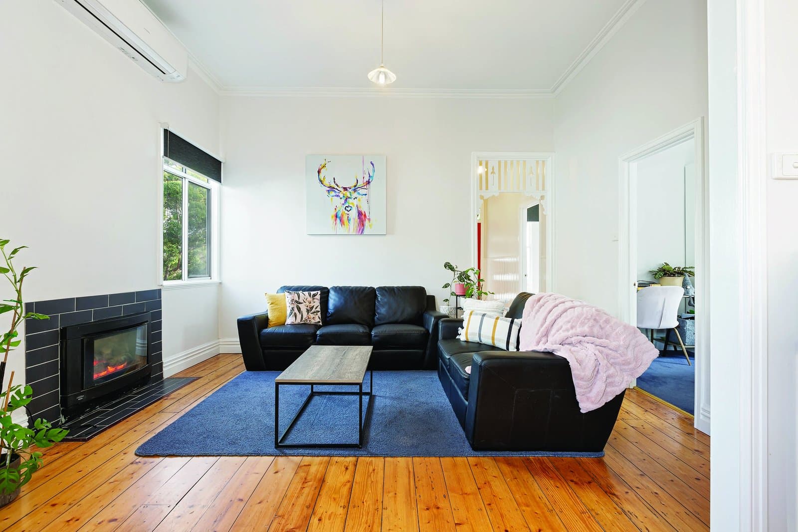 831 Humffray Street South, Mount Pleasant, Mount Pleasant - Thumbnail 2