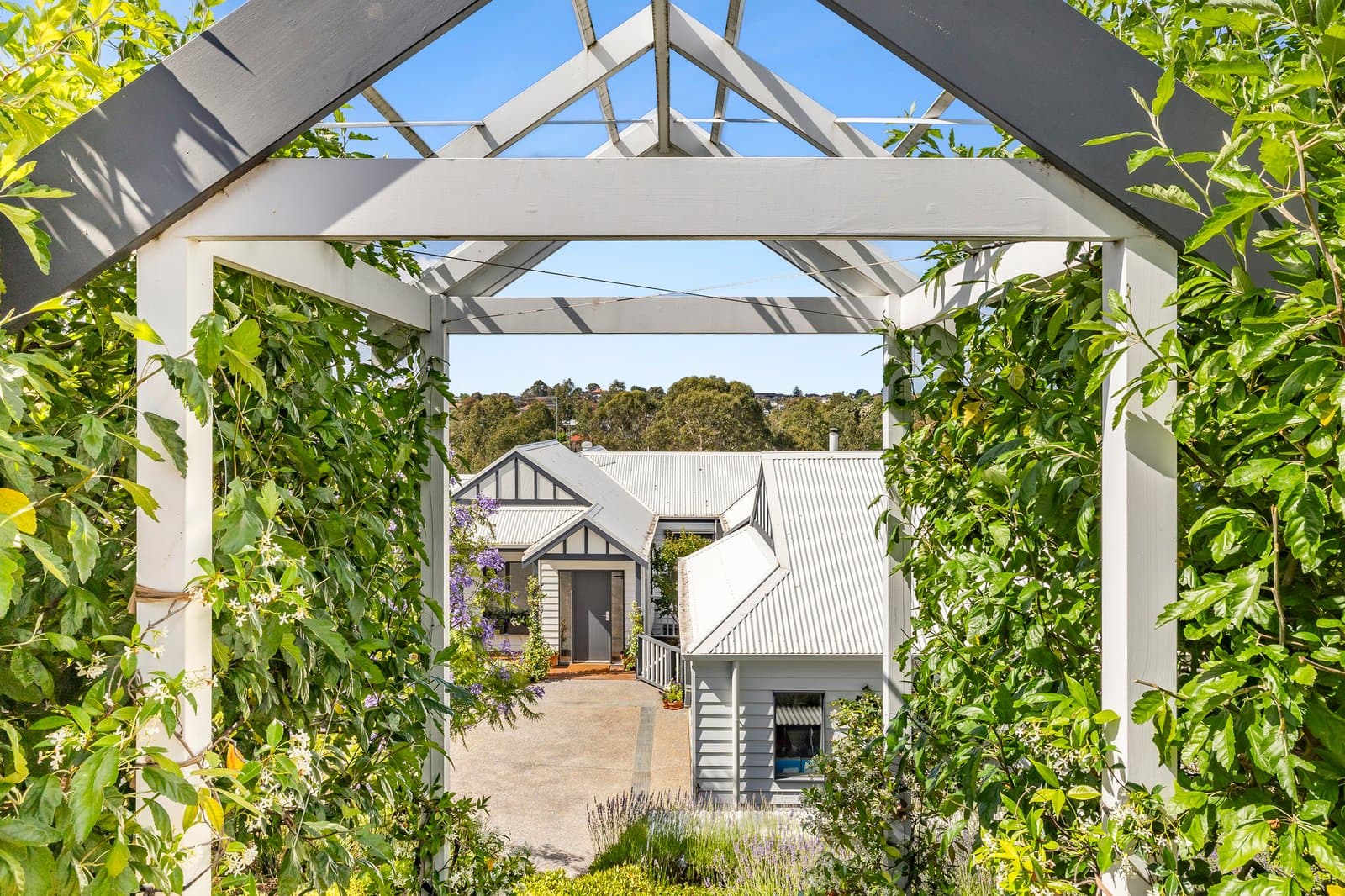20 Carrol Grove, Mount Waverley, Mount Waverley - Thumbnail 4