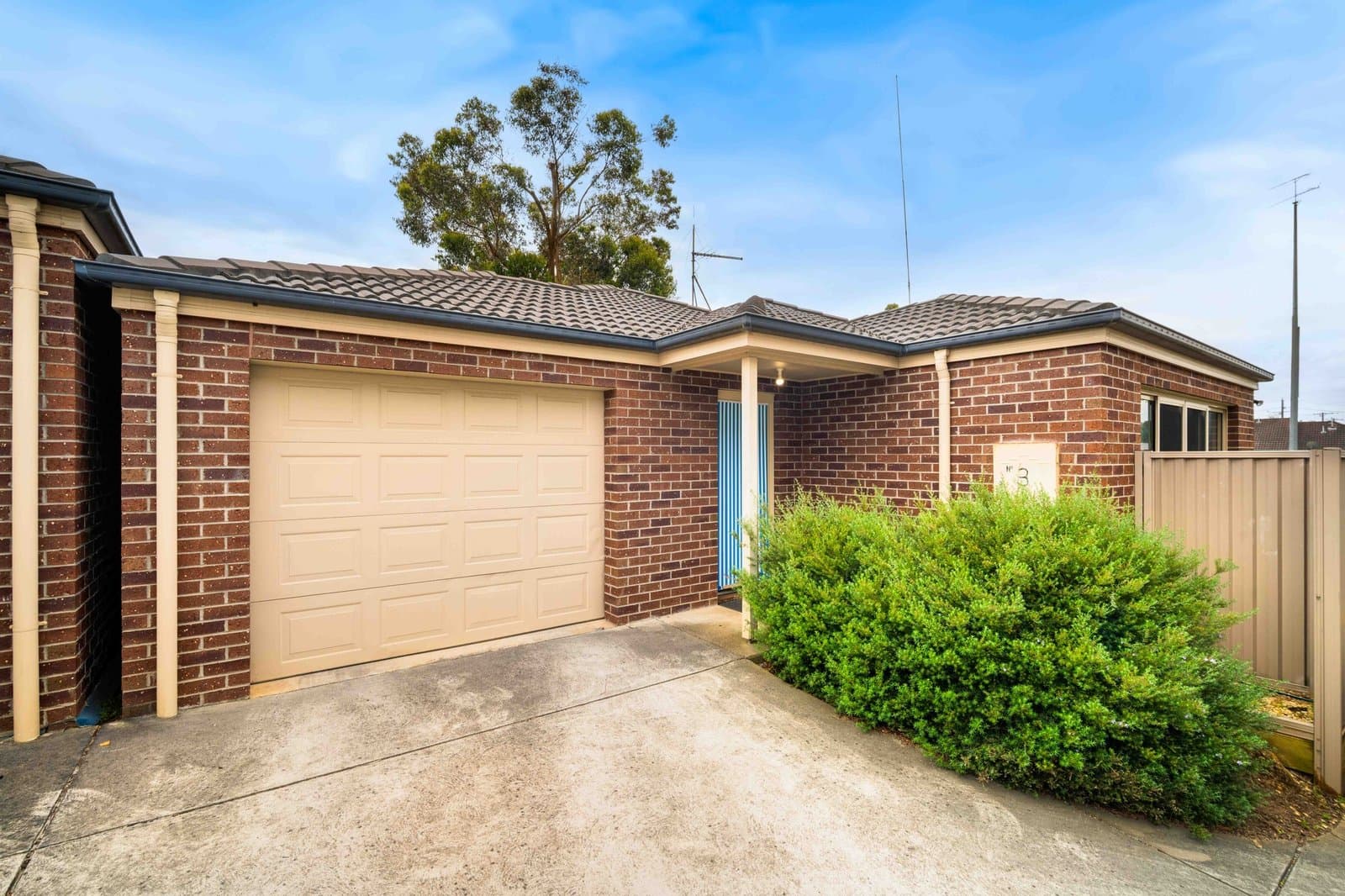 3/16 Whitehorse Road, Mount Clear, Mount Clear - Thumbnail 3
