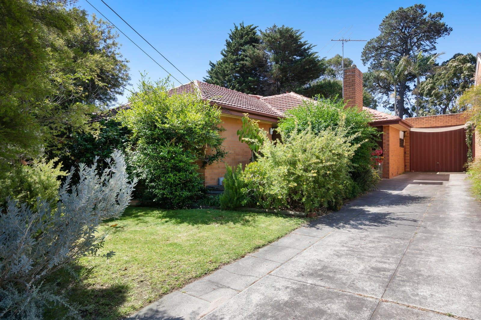 5 Claude Street, Bentleigh East, Bentleigh East - Thumbnail 5