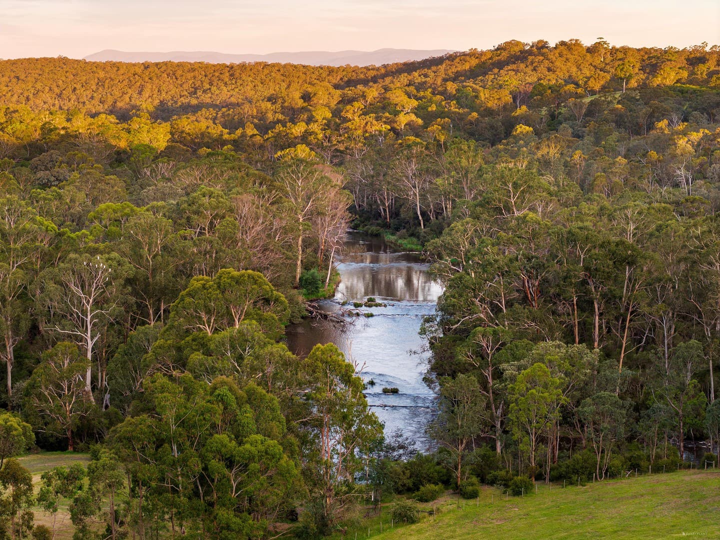 60 Bourchiers Road, Kangaroo Ground, VIC 3097, Kangaroo Ground - Thumbnail 3