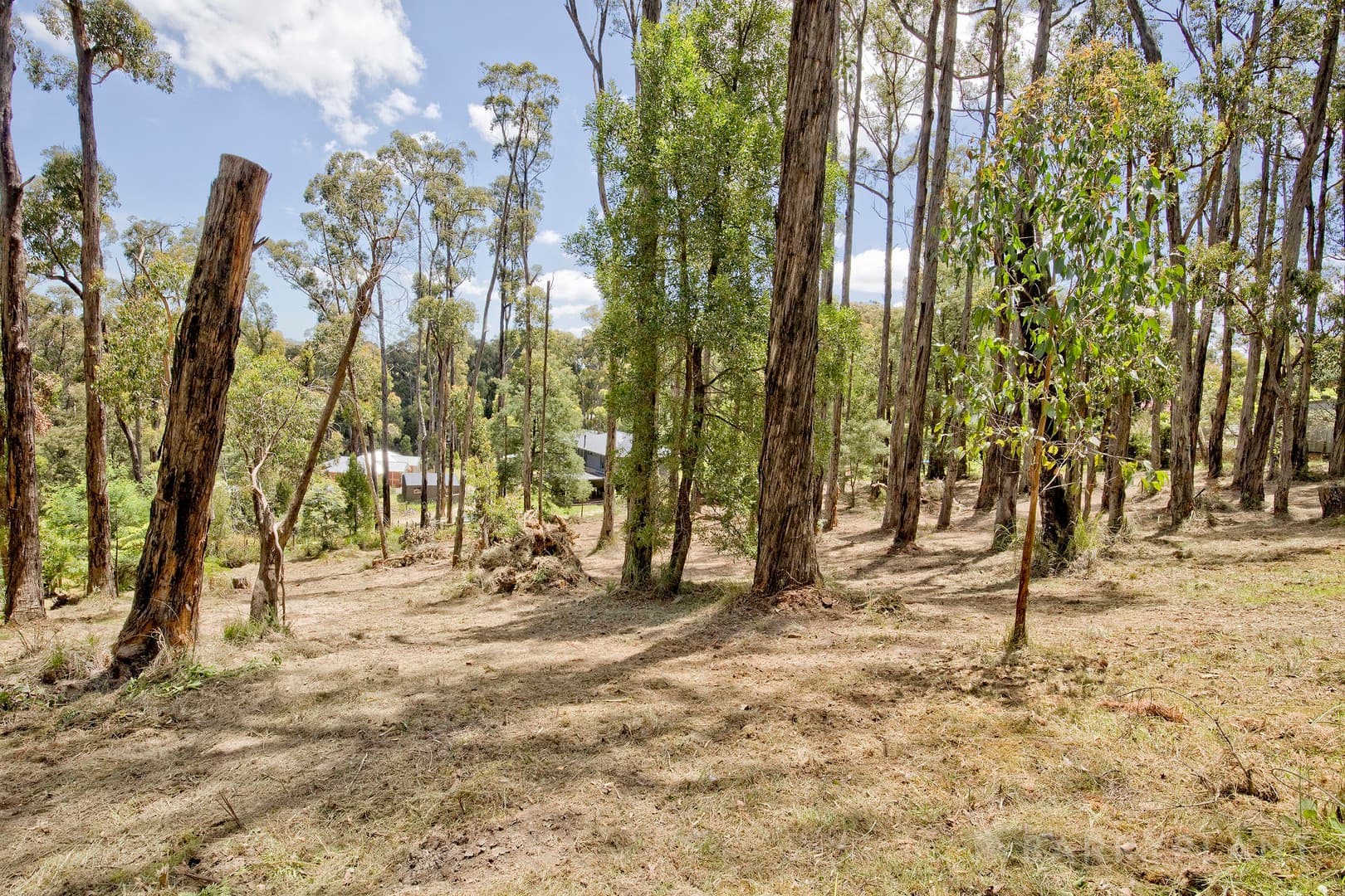 7 Galah Street, Cockatoo, VIC 3781, Cockatoo - Thumbnail 2