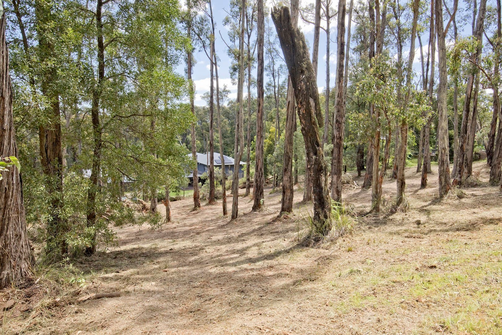 7 Galah Street, Cockatoo, VIC 3781, Cockatoo - Thumbnail 3