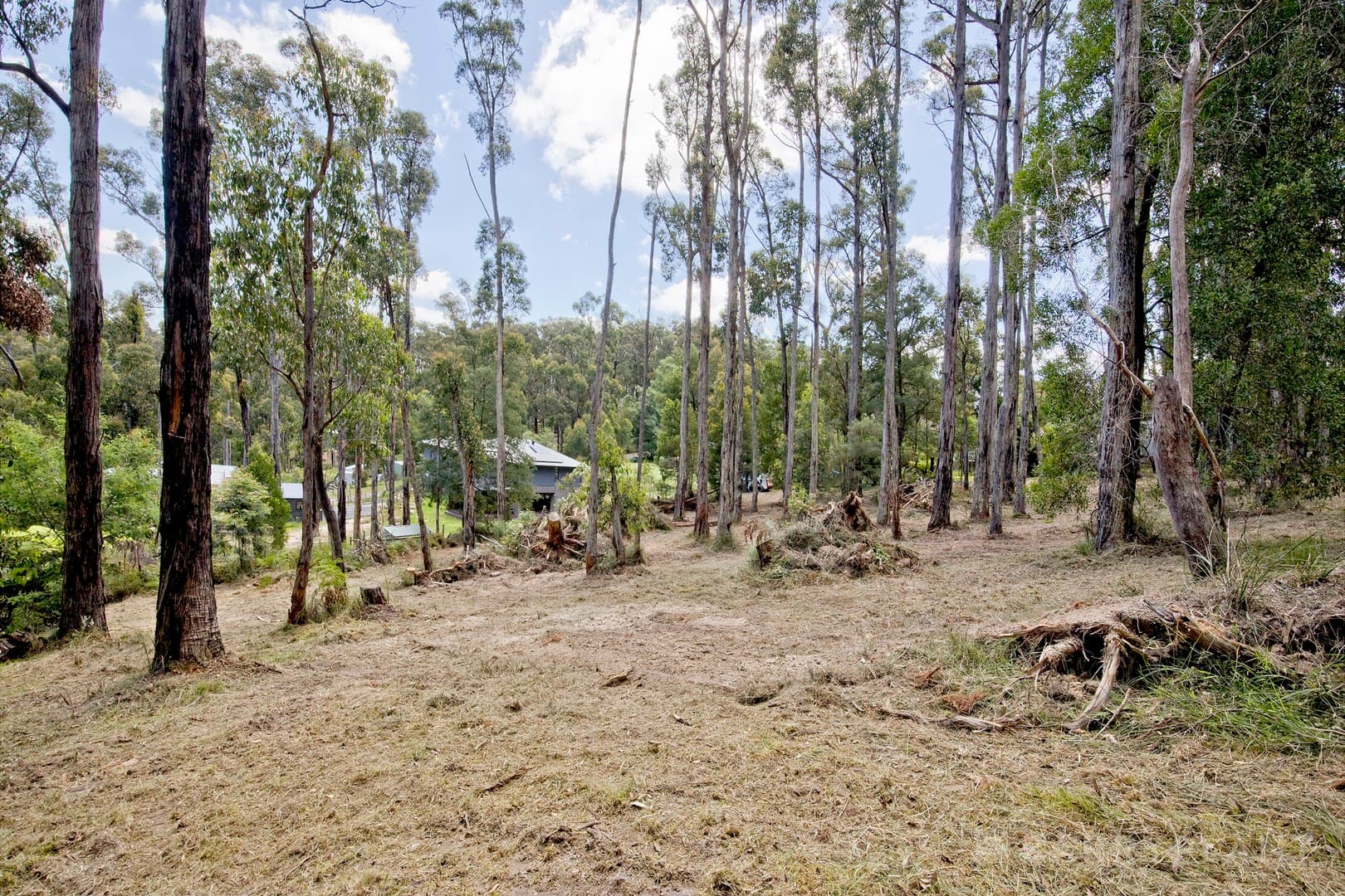 7 Galah Street, Cockatoo, VIC 3781, Cockatoo - Thumbnail 4