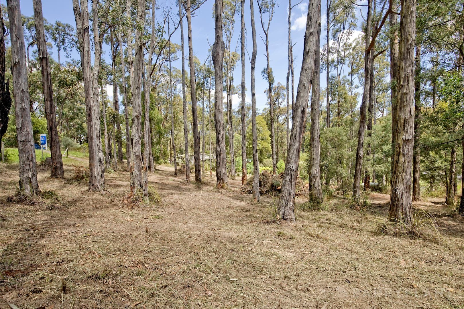 7 Galah Street, Cockatoo, VIC 3781, Cockatoo - Thumbnail 5