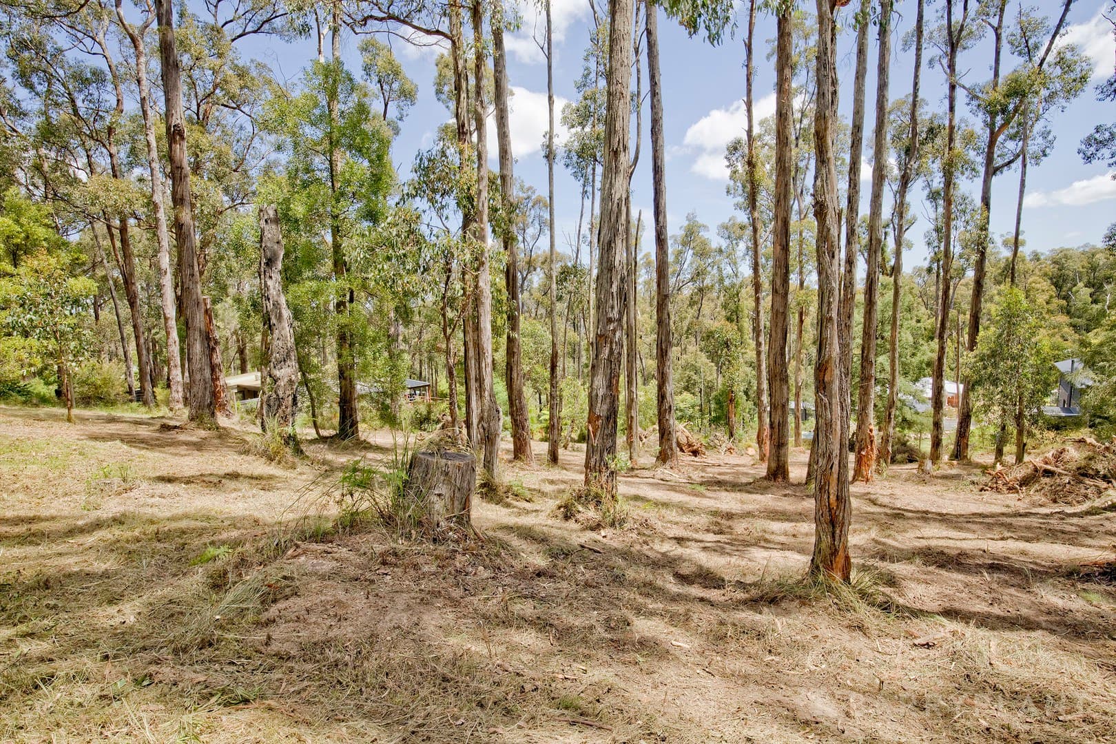 7 Galah Street, Cockatoo, VIC 3781, Cockatoo - Thumbnail 6