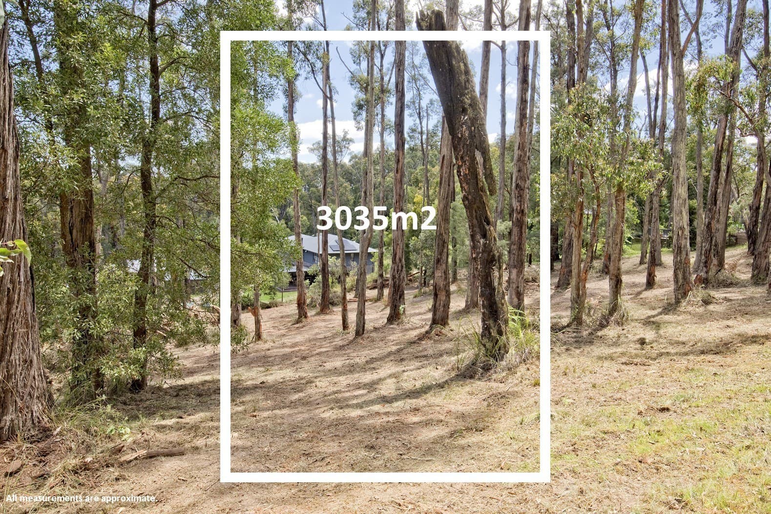 7 Galah Street, Cockatoo, VIC 3781, Cockatoo - Thumbnail 7