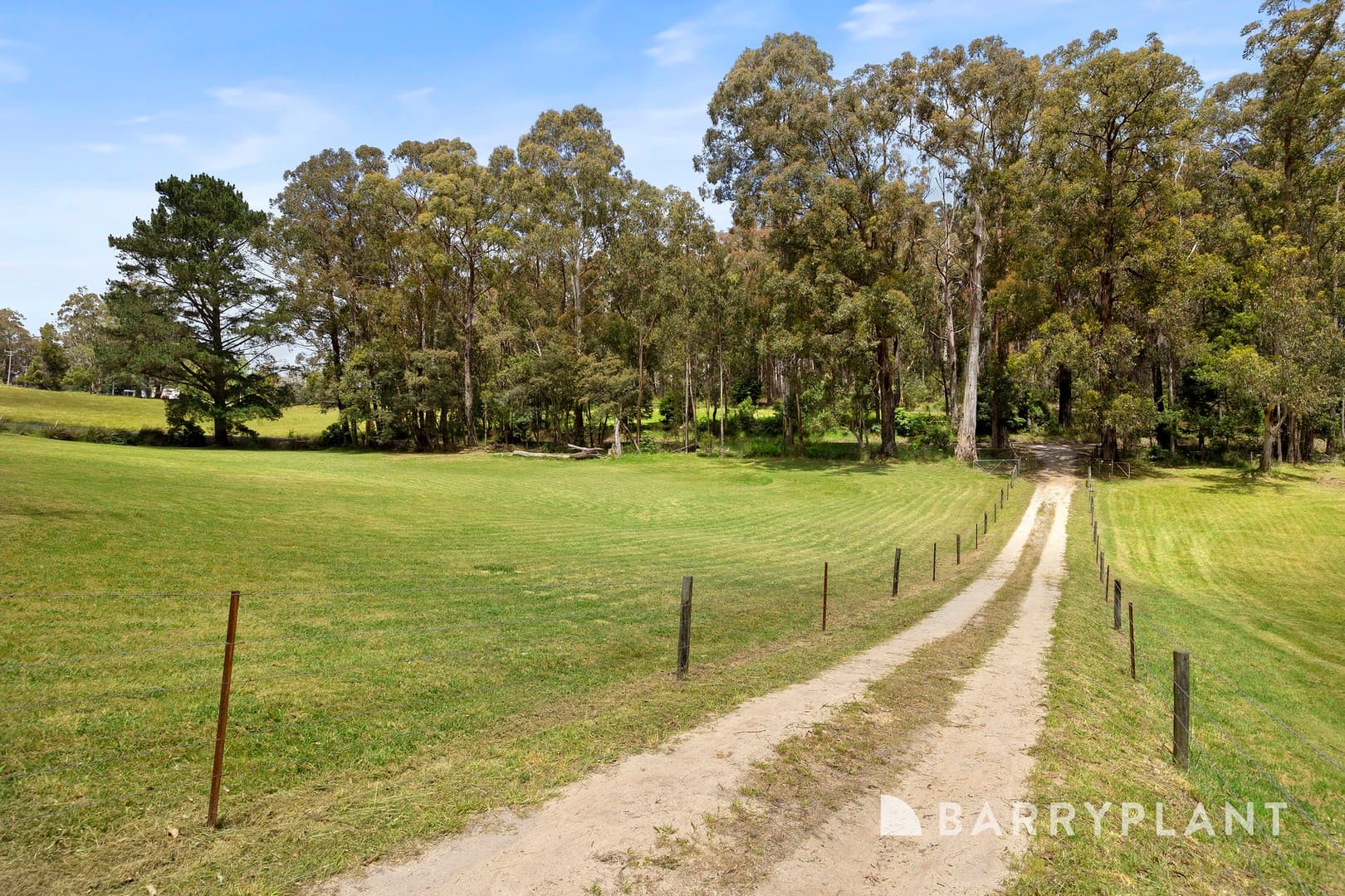 595 Budgeree Road, Budgeree, VIC 3870, Budgeree - Thumbnail 2