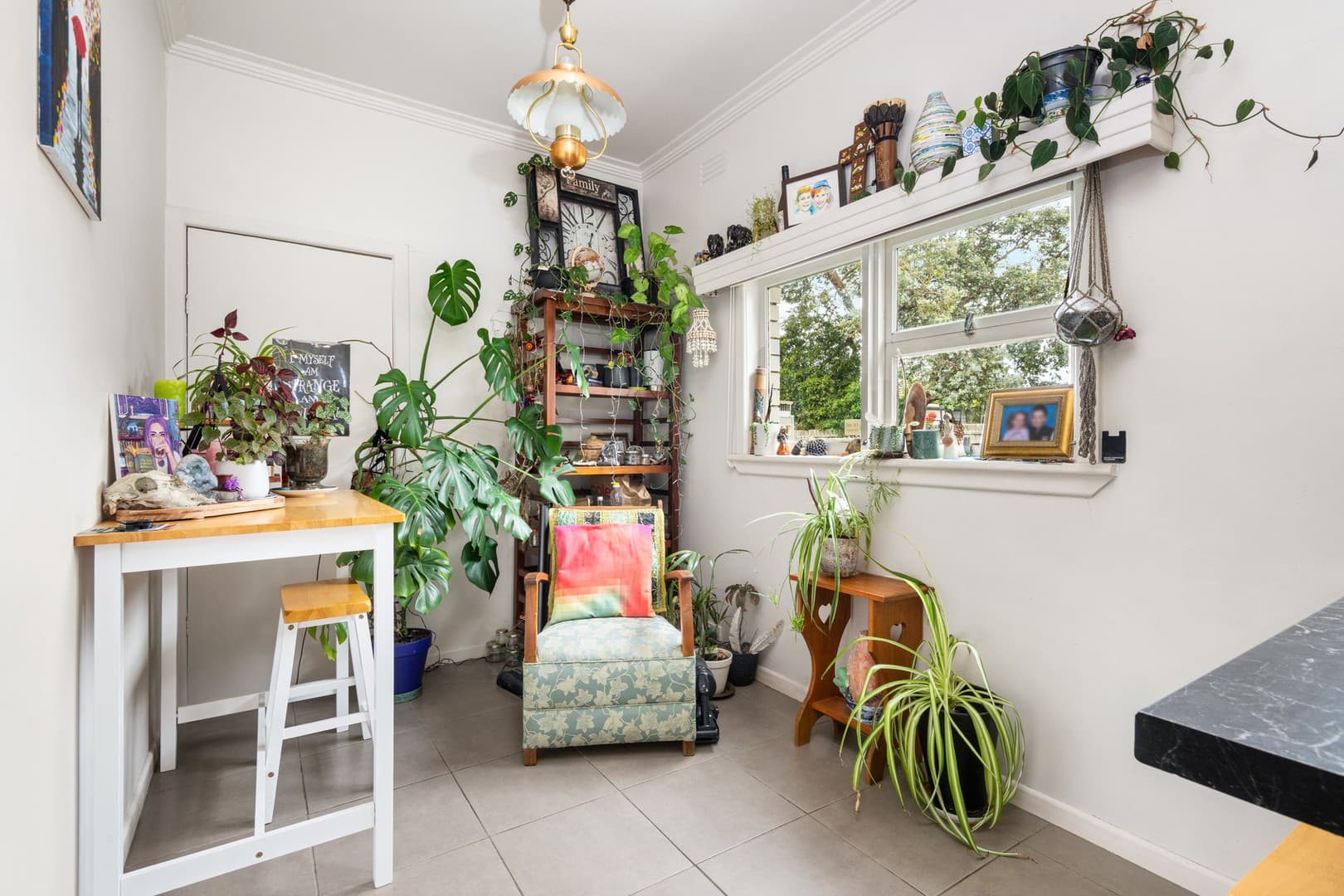 5 Carol Court, Newcomb, VIC 3219, Newcomb - Thumbnail 3