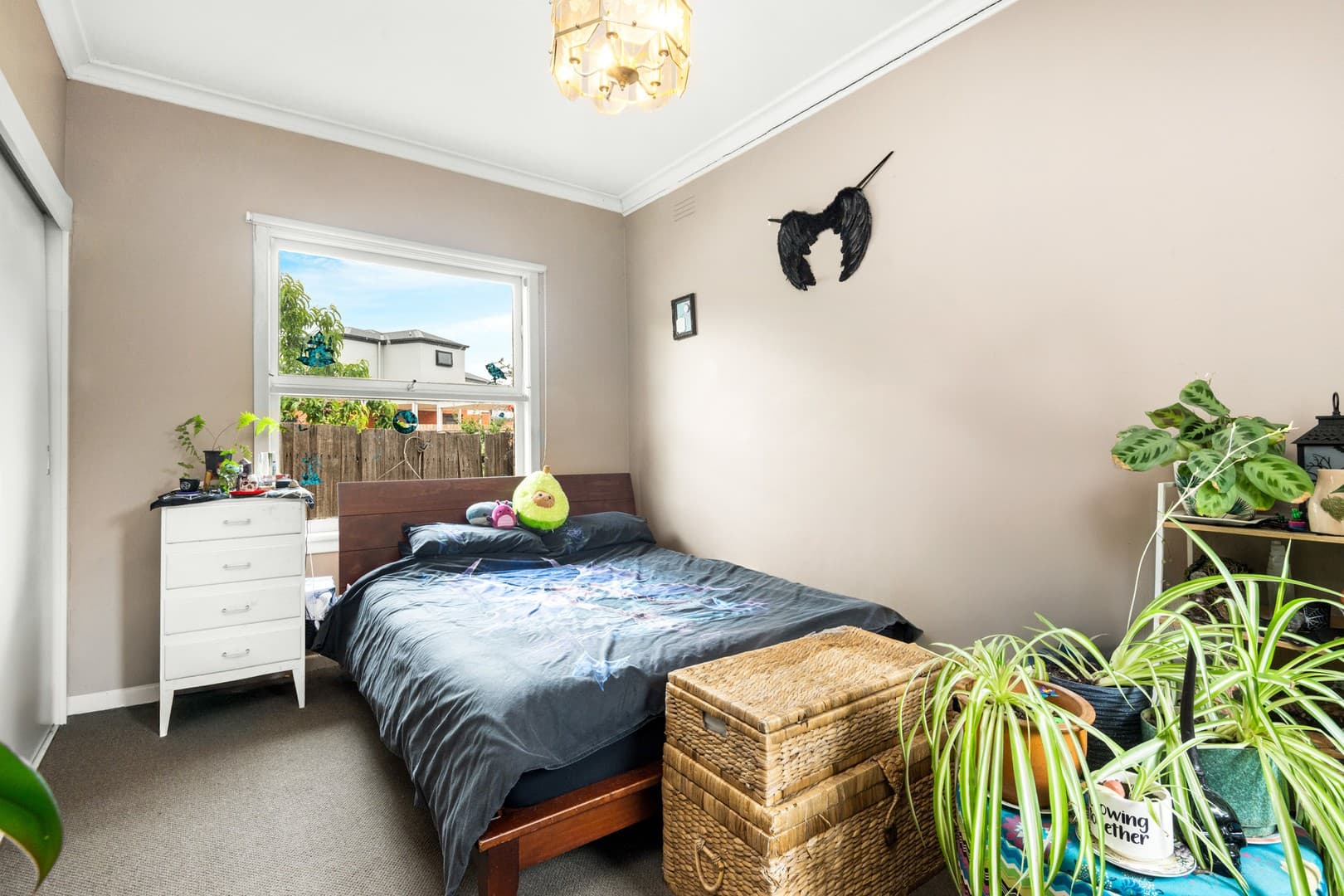 5 Carol Court, Newcomb, VIC 3219, Newcomb - Thumbnail 7
