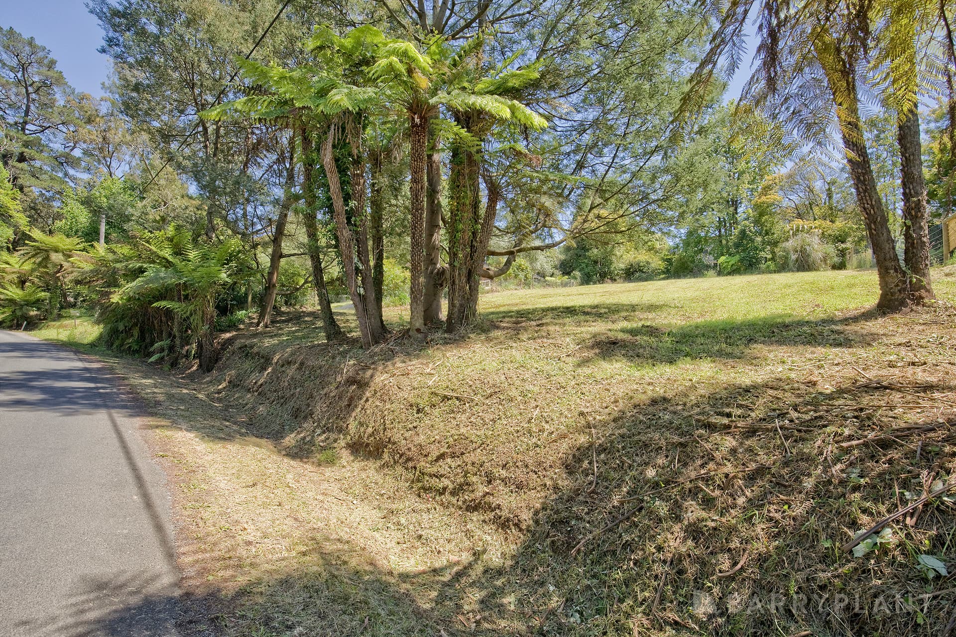 17 Emerald Lake RoadEmerald, vic 3782, Emerald - Thumbnail 6
