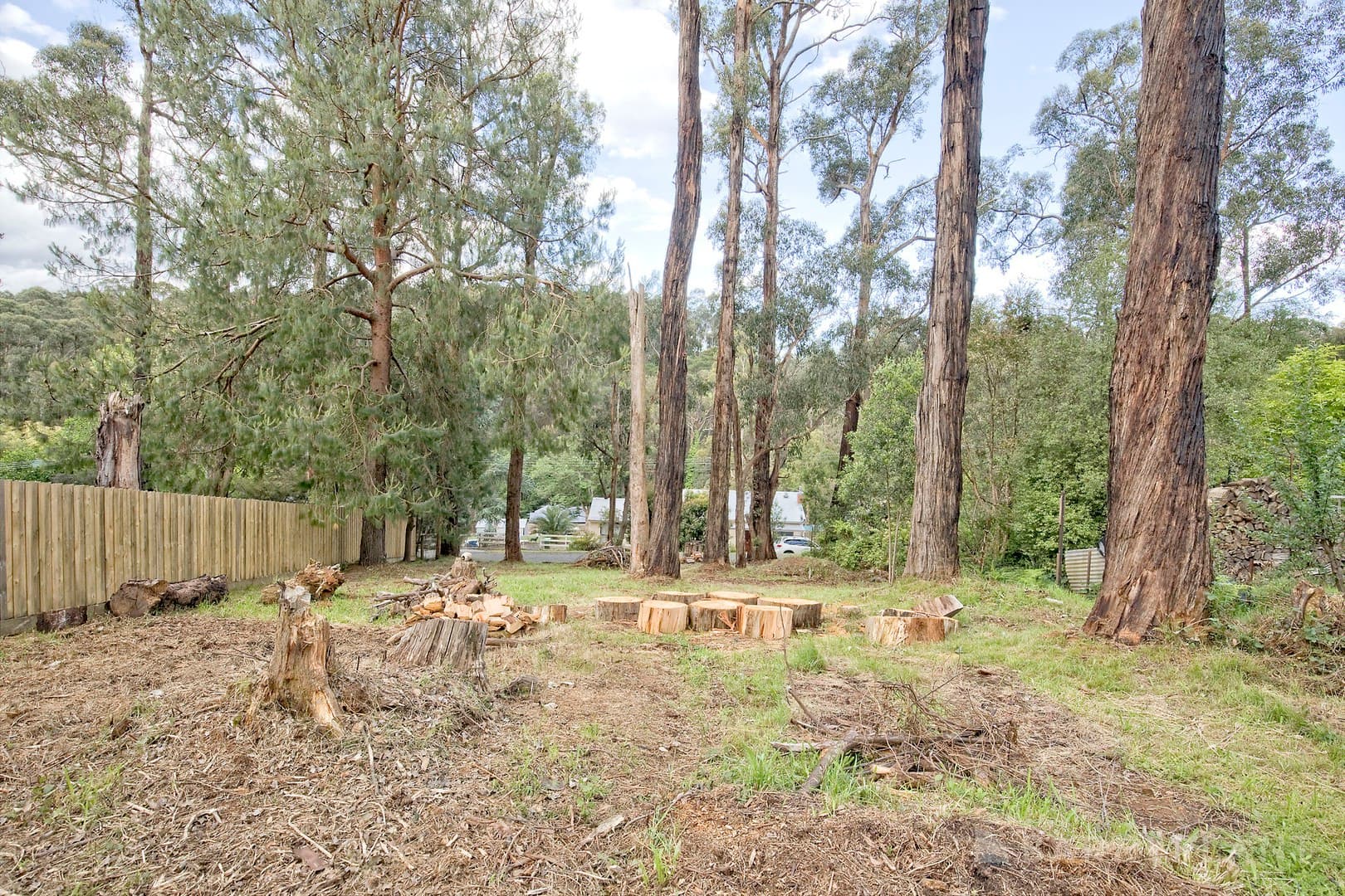 10 Edmunds Road, Cockatoo, VIC 3781, Cockatoo - Thumbnail 5