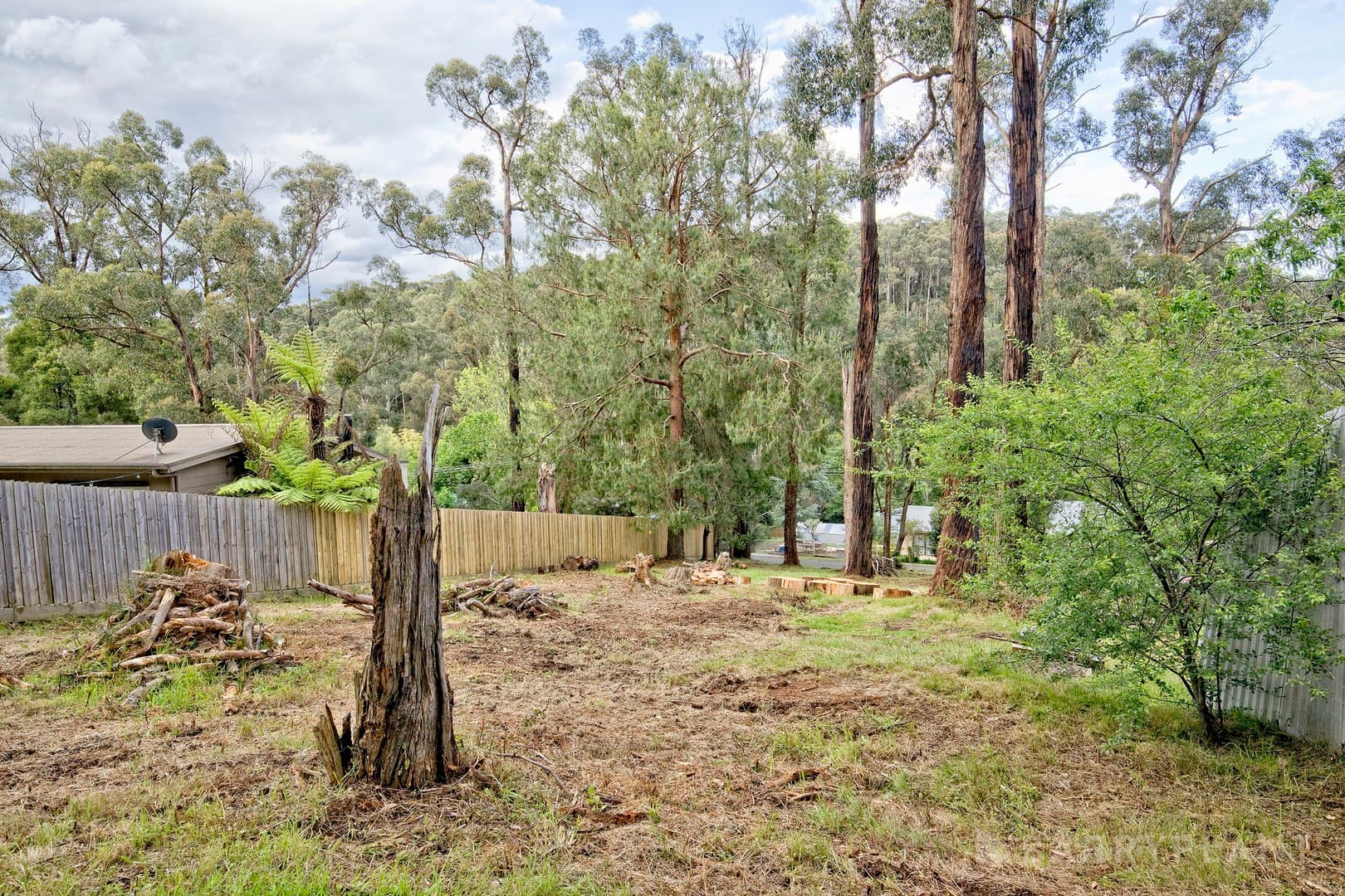 10 Edmunds Road, Cockatoo, VIC 3781, Cockatoo - Thumbnail 7