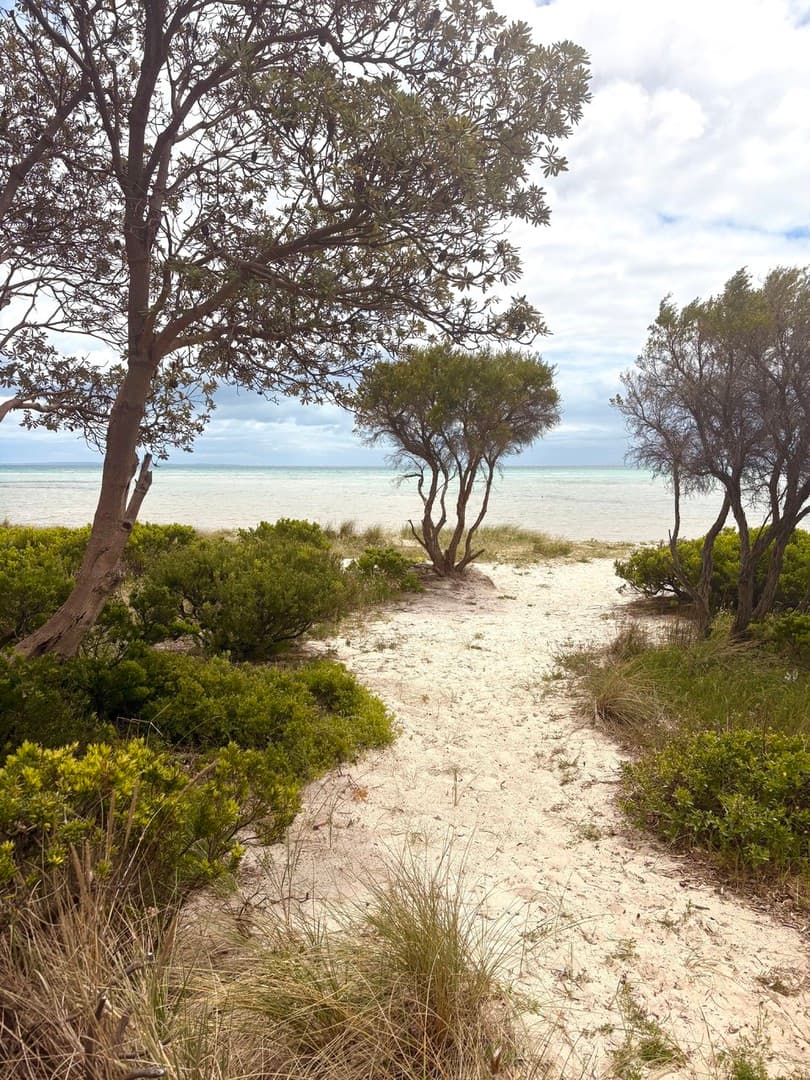 142 Rosebud Foreshore Beach Box Road, Rosebud, VIC 3939, Rosebud - Thumbnail 2