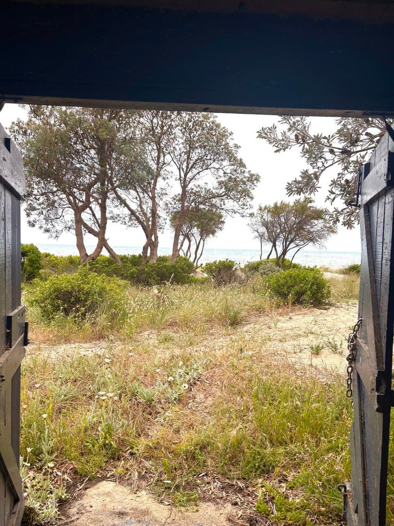 142 Rosebud Foreshore Beach Box Road, Rosebud, VIC 3939, Rosebud - Thumbnail 3