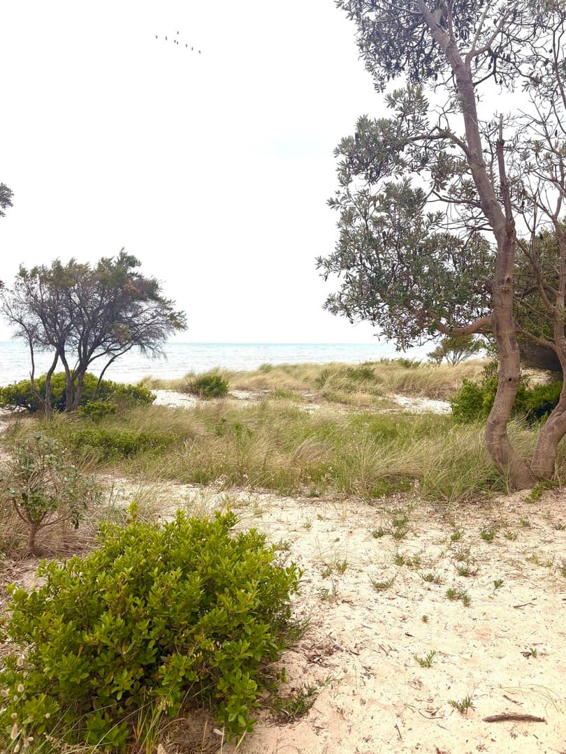 142 Rosebud Foreshore Beach Box Road, Rosebud, VIC 3939, Rosebud - Thumbnail 4