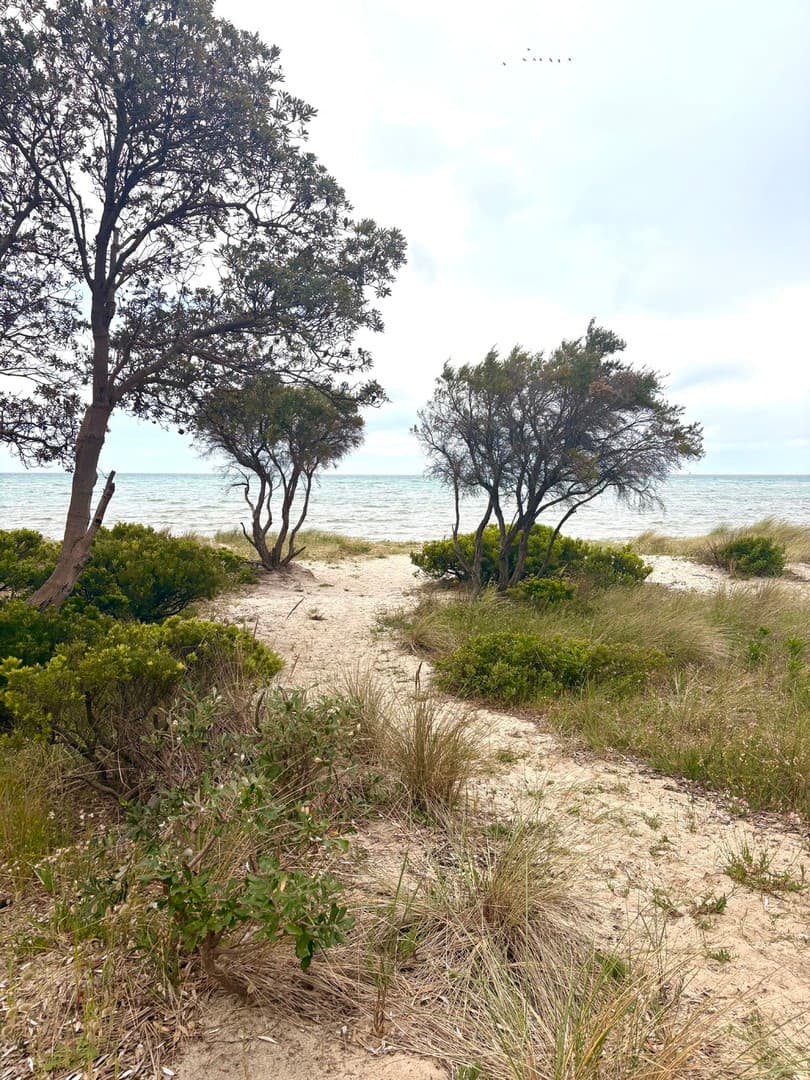 142 Rosebud Foreshore Beach Box Road, Rosebud, VIC 3939, Rosebud - Thumbnail 5