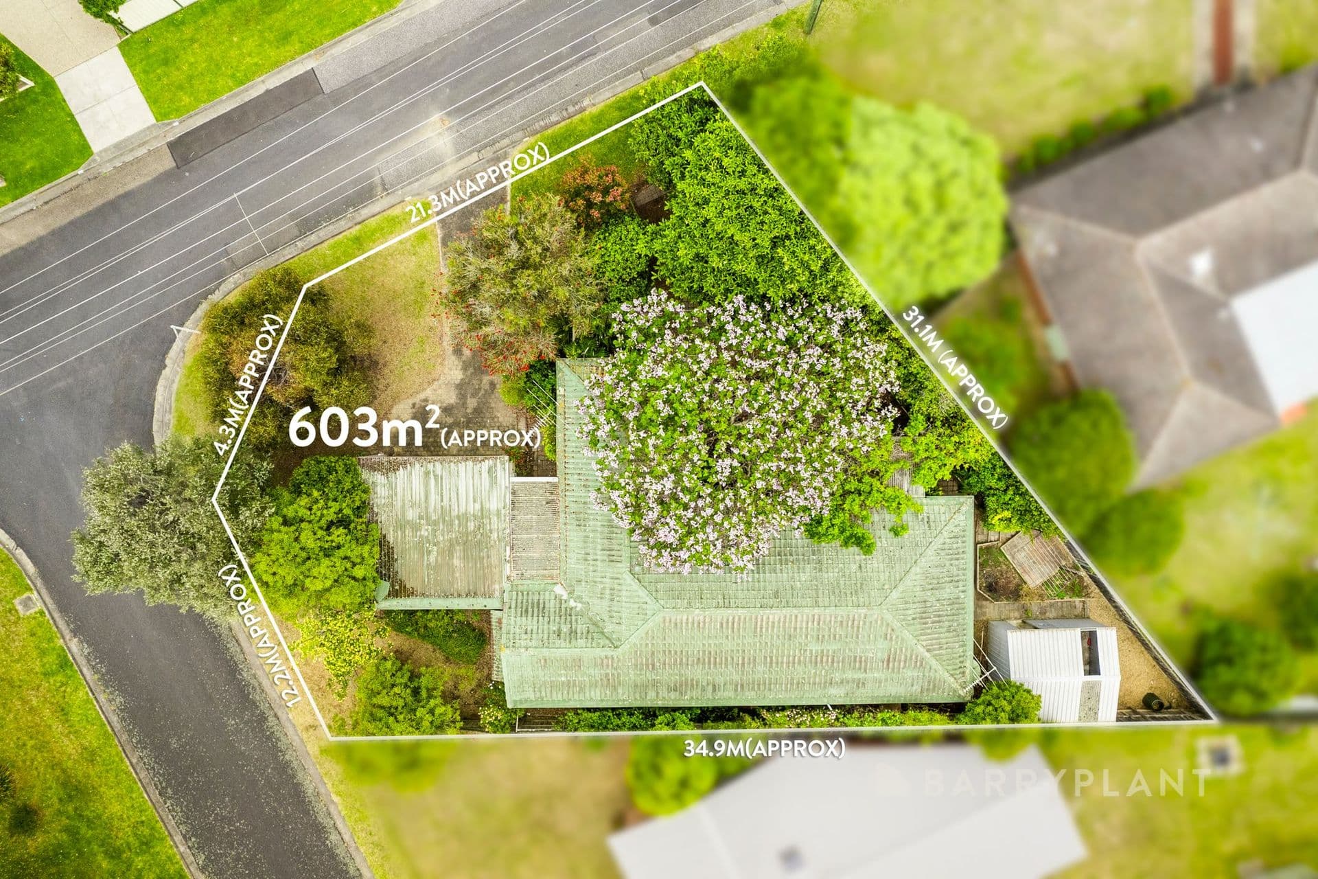 18 Mawarra AvenueCapel Sound, vic 3940, Capel Sound - Thumbnail 6