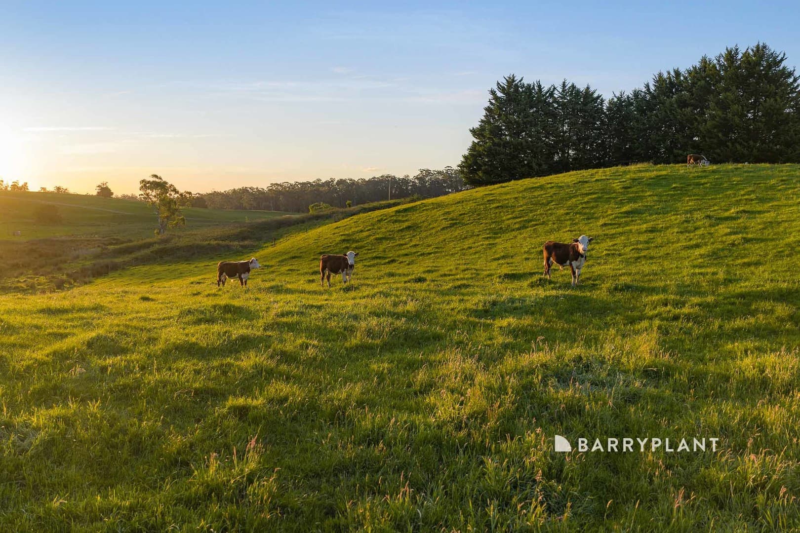 410 Old Sale Road, Drouin West, VIC 3818, Drouin West - Thumbnail 5