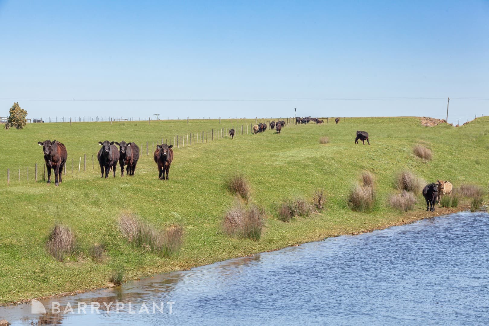 Lot 3/750 Kilmore Lancefield Road, Forbes, VIC 3764, Forbes - Thumbnail 3