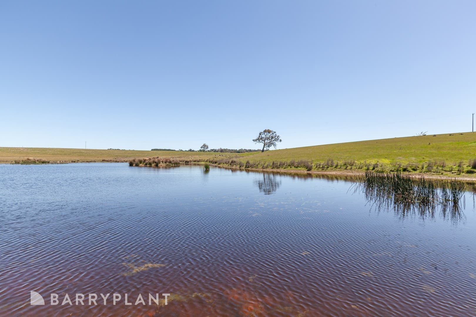 Lot 3/750 Kilmore Lancefield Road, Forbes, VIC 3764, Forbes - Thumbnail 4