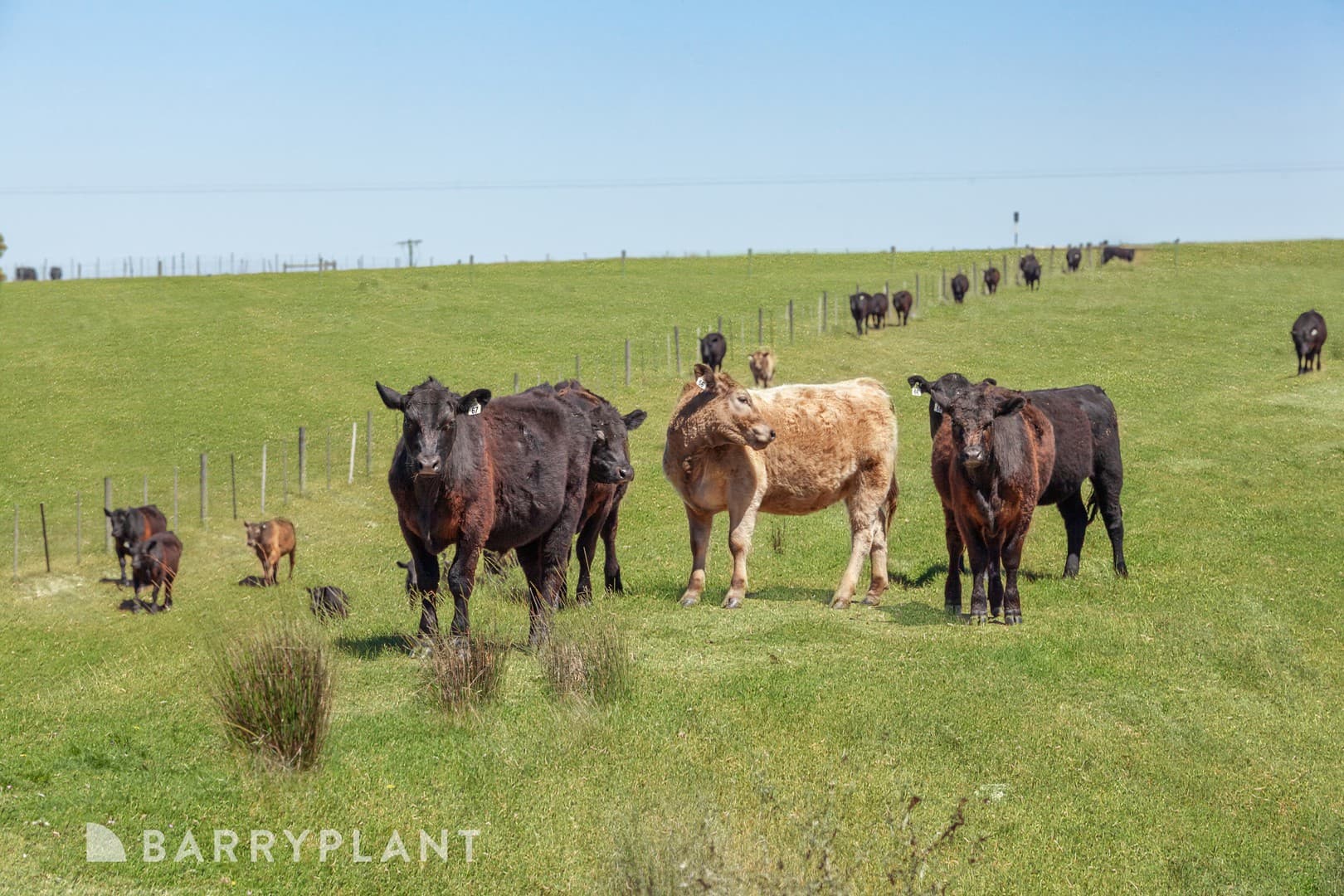 Lot 3/750 Kilmore Lancefield Road, Forbes, VIC 3764, Forbes - Thumbnail 7