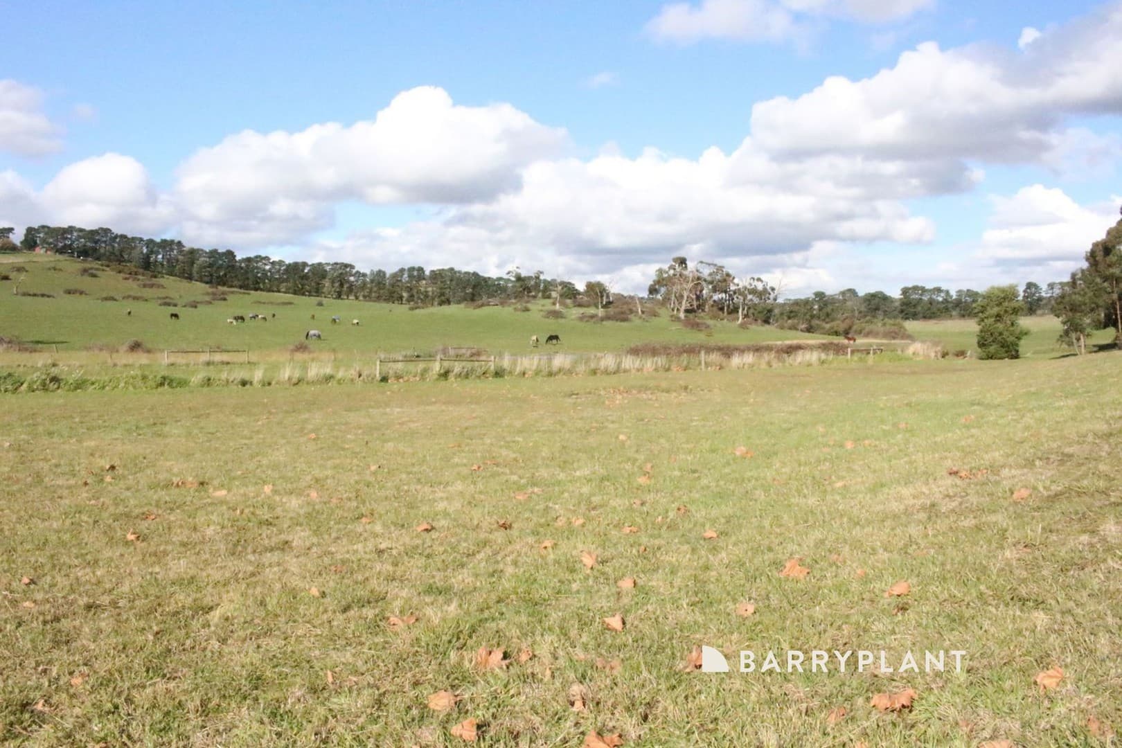 24 Sherwood Way, Lysterfield, VIC 3156, Lysterfield - Thumbnail 8