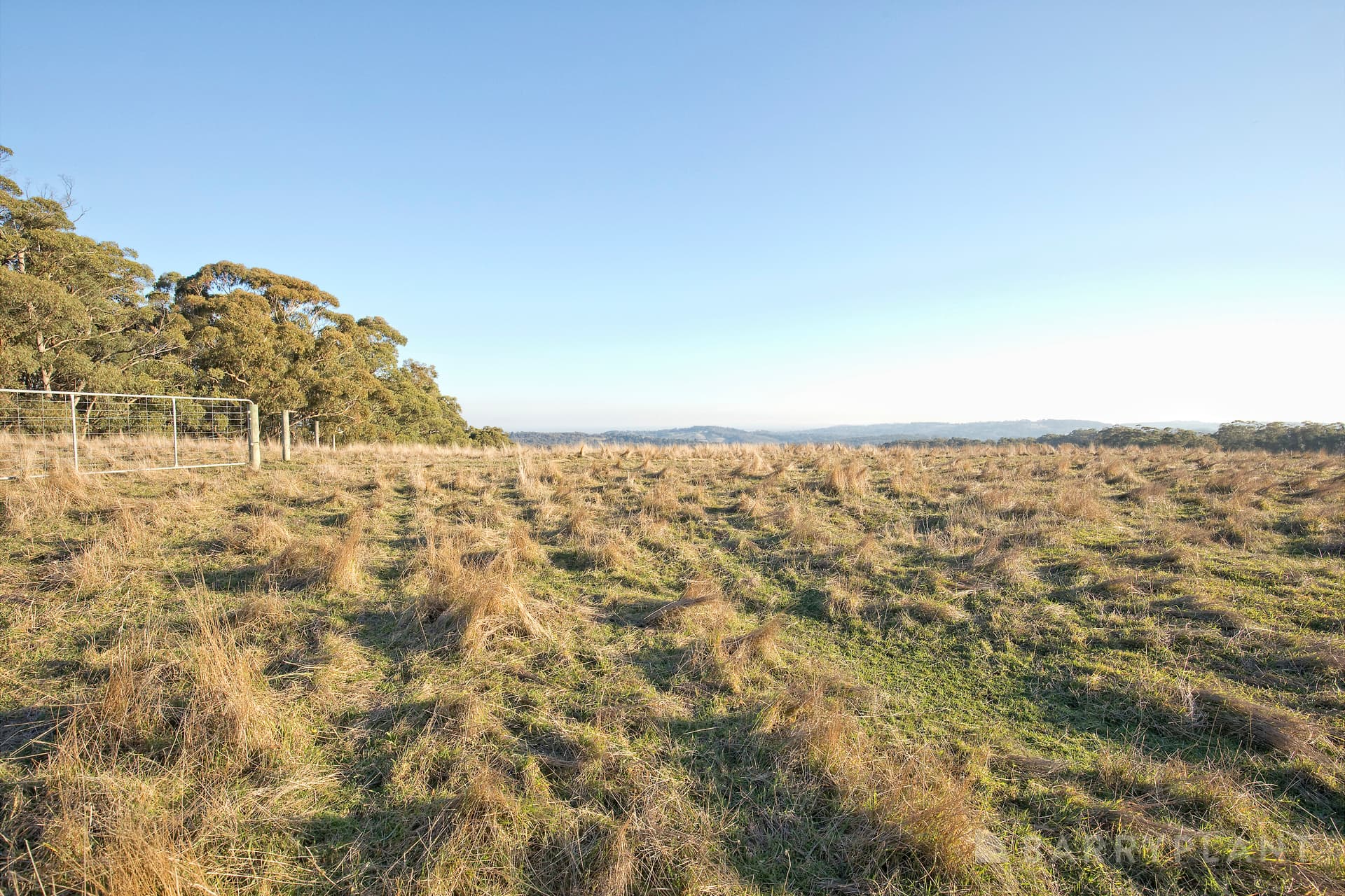 240 Mount Eirene Road, Gembrook - Thumbnail 6