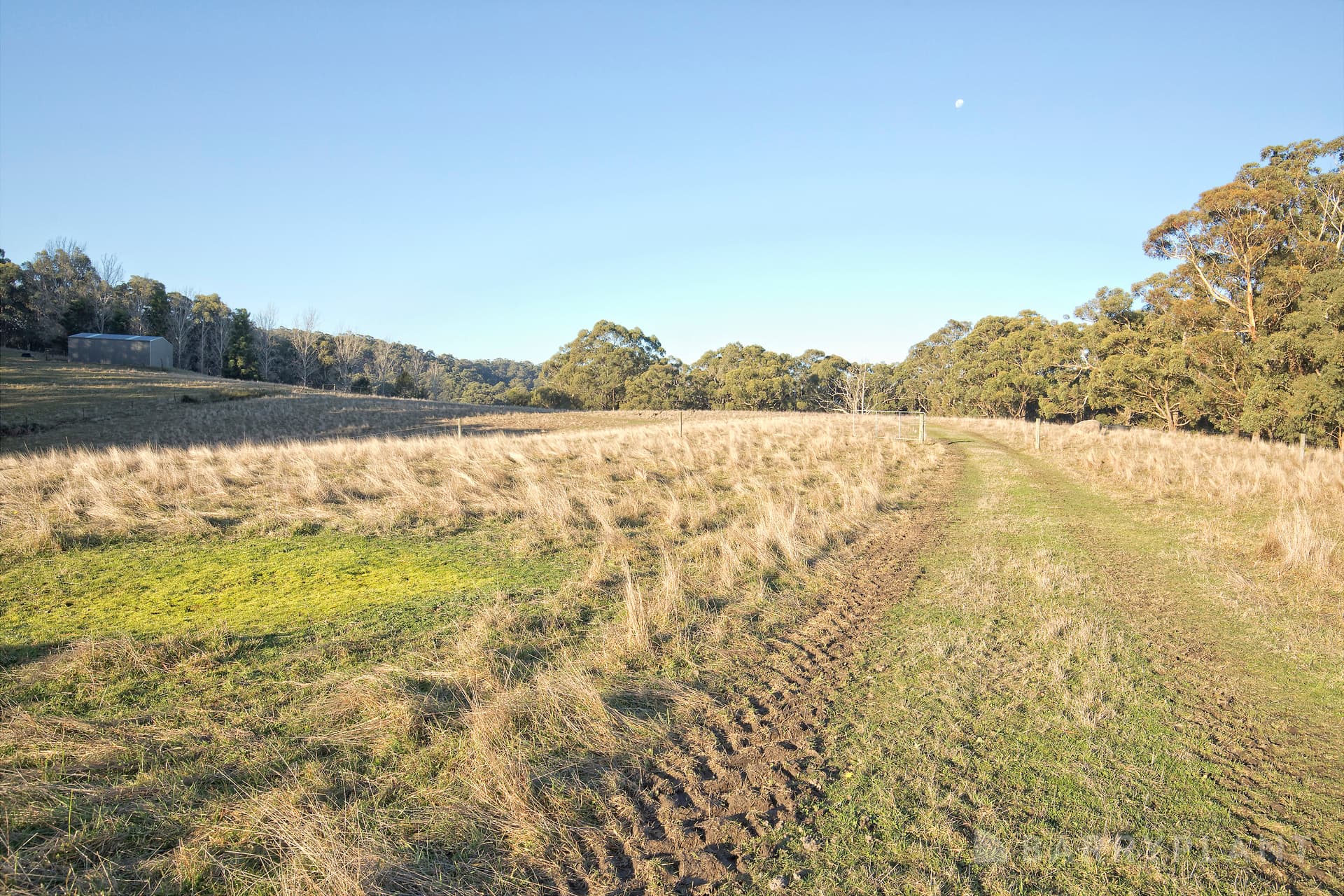 240 Mount Eirene Road, Gembrook - Thumbnail 7