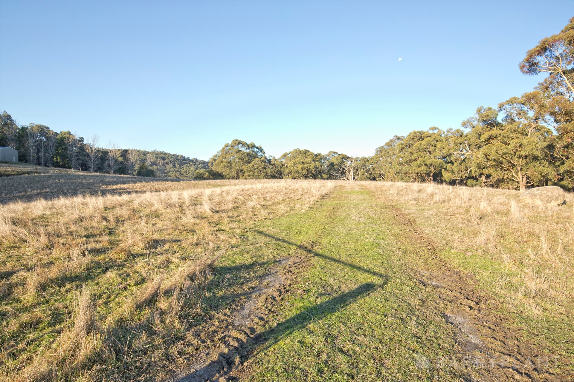 240 Mount Eirene Road, Gembrook - Thumbnail 8