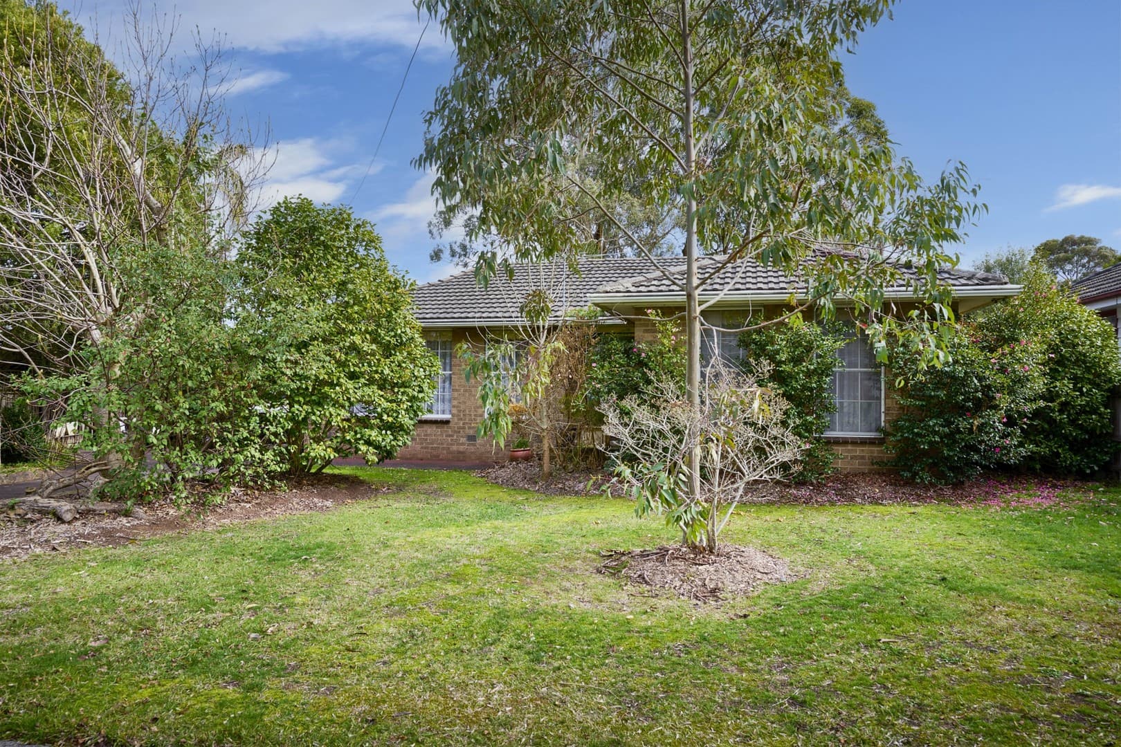 14 Park Lane, Croydon, VIC 3136, Croydon - Thumbnail 5