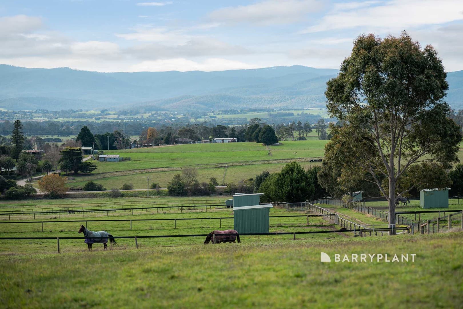 292 Longwarry Drouin Road, Longwarry, VIC 3816, Longwarry - Thumbnail 5