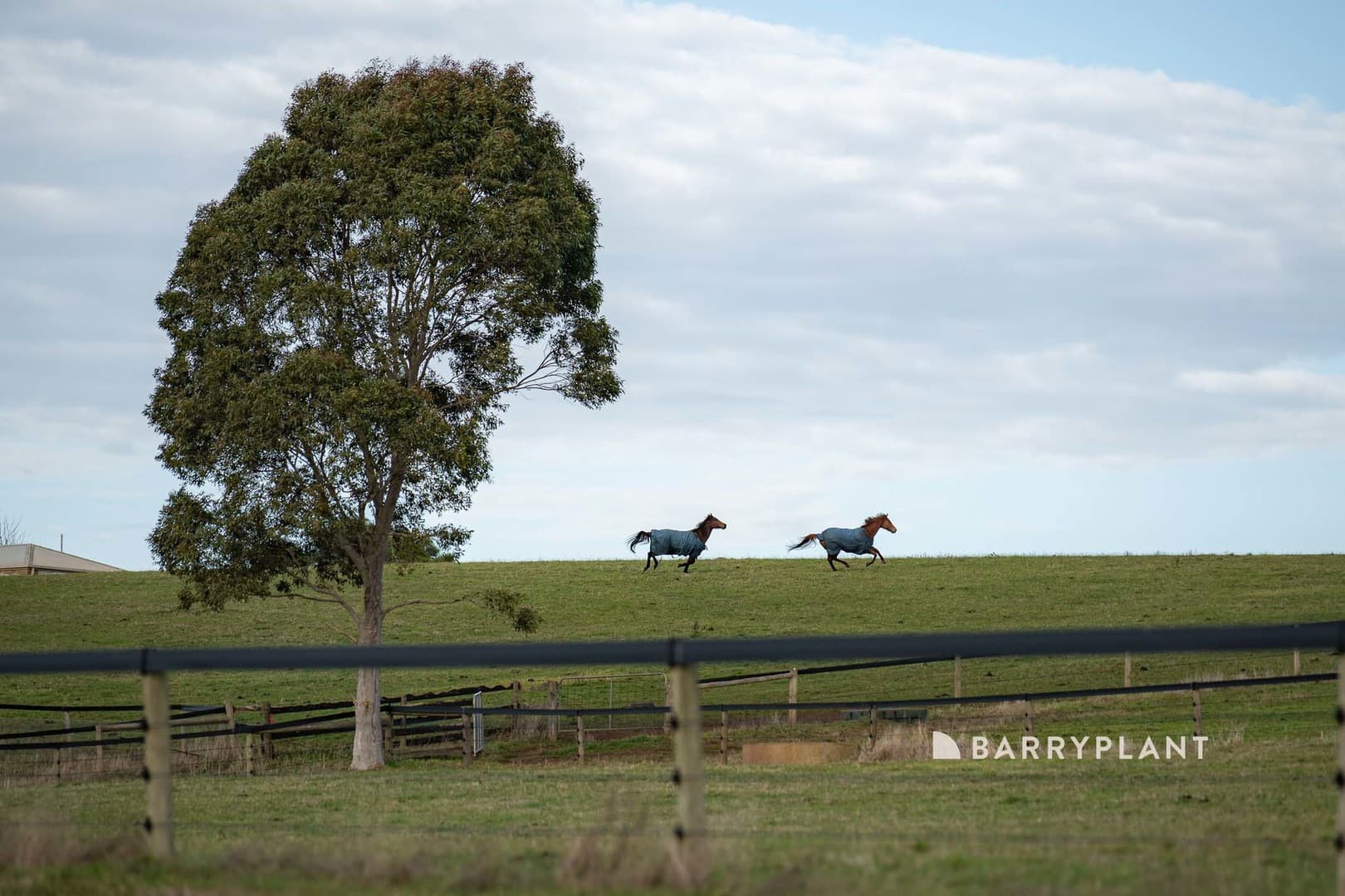 292 Longwarry Drouin Road, Longwarry, VIC 3816, Longwarry - Thumbnail 7
