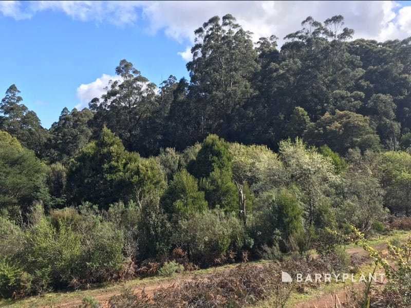 1 Currawong Drive, Gembrook, VIC 3783, Gembrook - Thumbnail 2