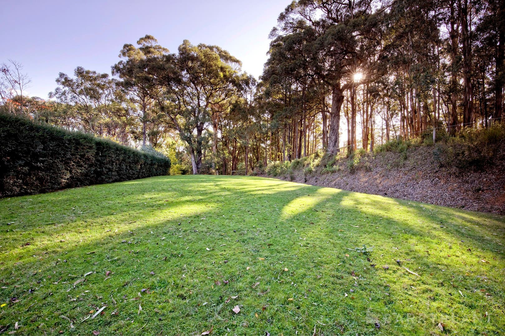 3 Ladd Square, Emerald, VIC 3782, Emerald - Thumbnail 6