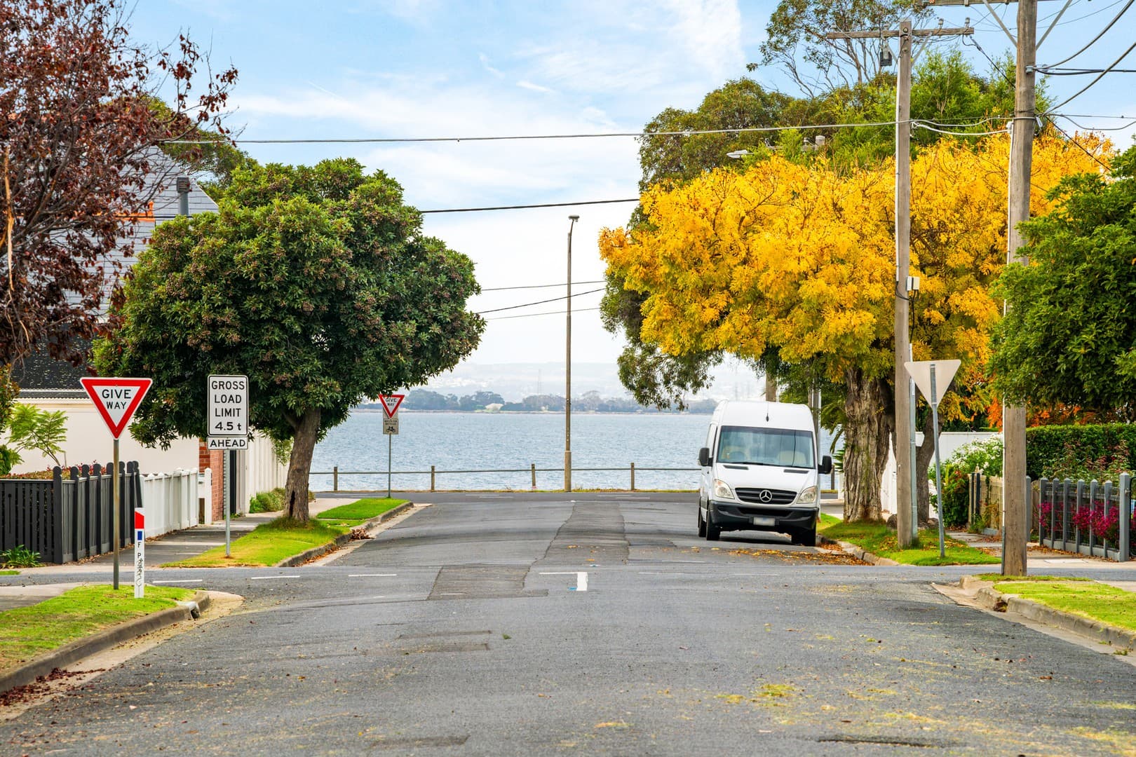 19 Wattletree Road, Drumcondra, VIC 3215, Drumcondra - Thumbnail 3