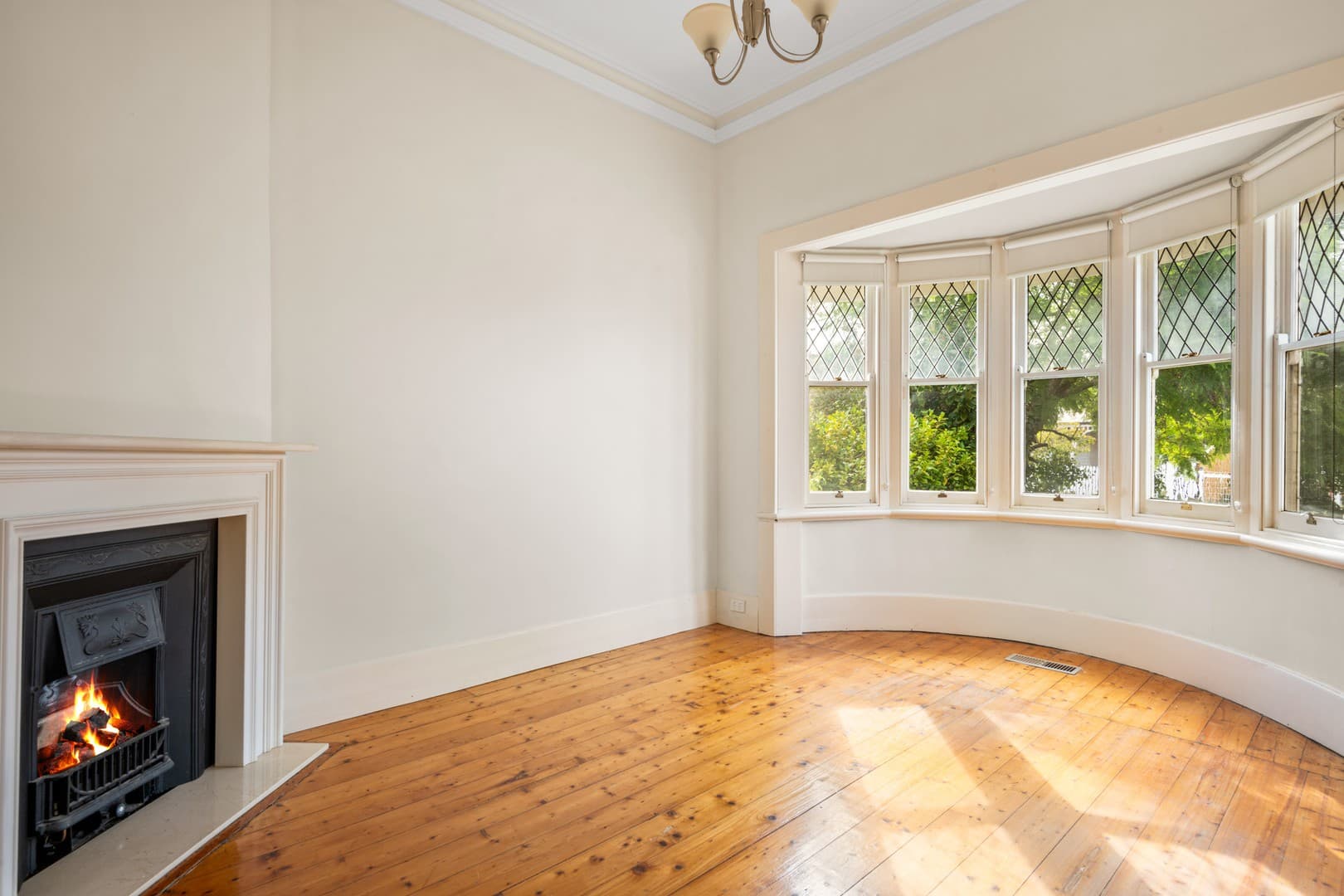 19 Wattletree Road, Drumcondra, VIC 3215, Drumcondra - Thumbnail 8
