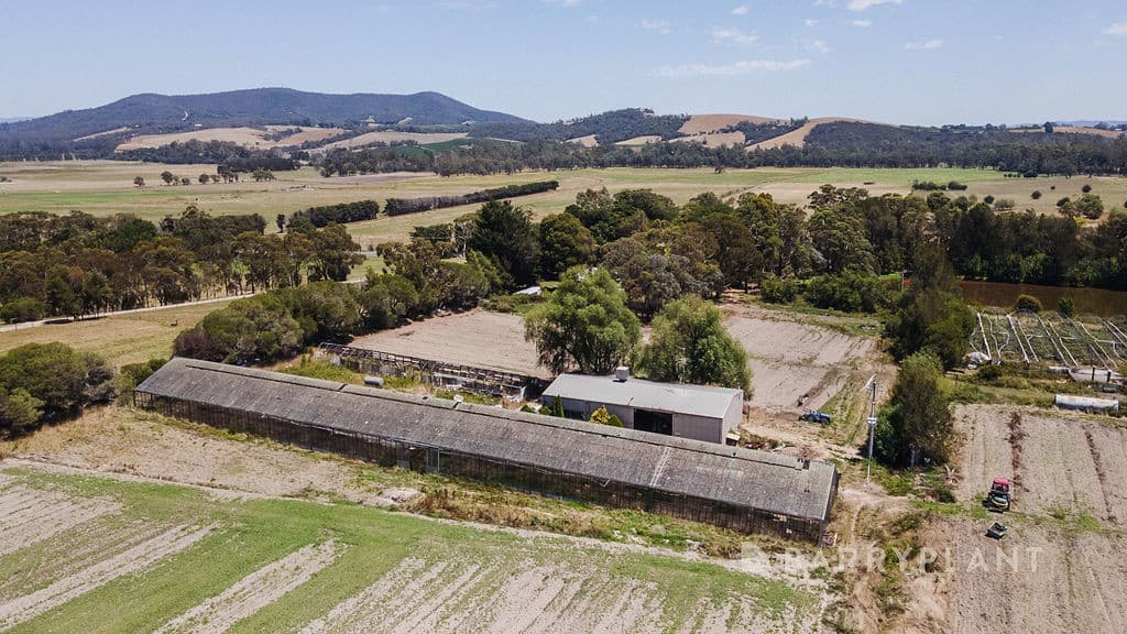 285 Healesville-Koo Wee Rup Road, Badger Creek - Thumbnail 8
