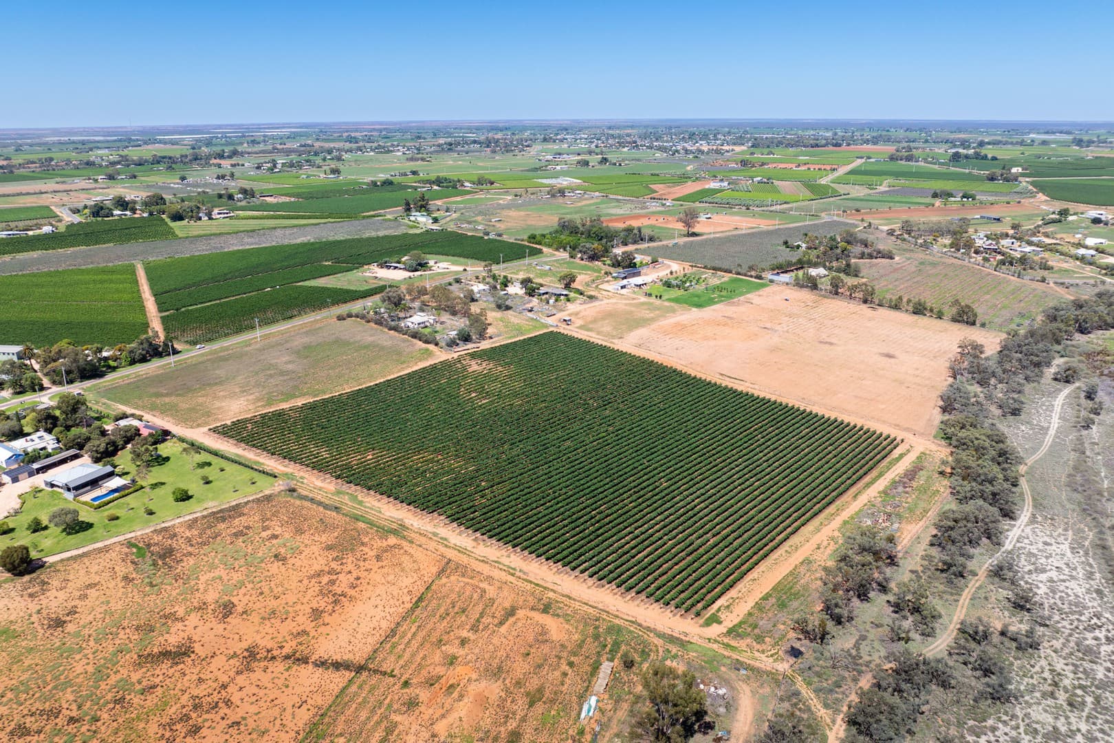 2 Buloke Street, Red Cliffs, VIC 3496, Red Cliffs - Thumbnail 6