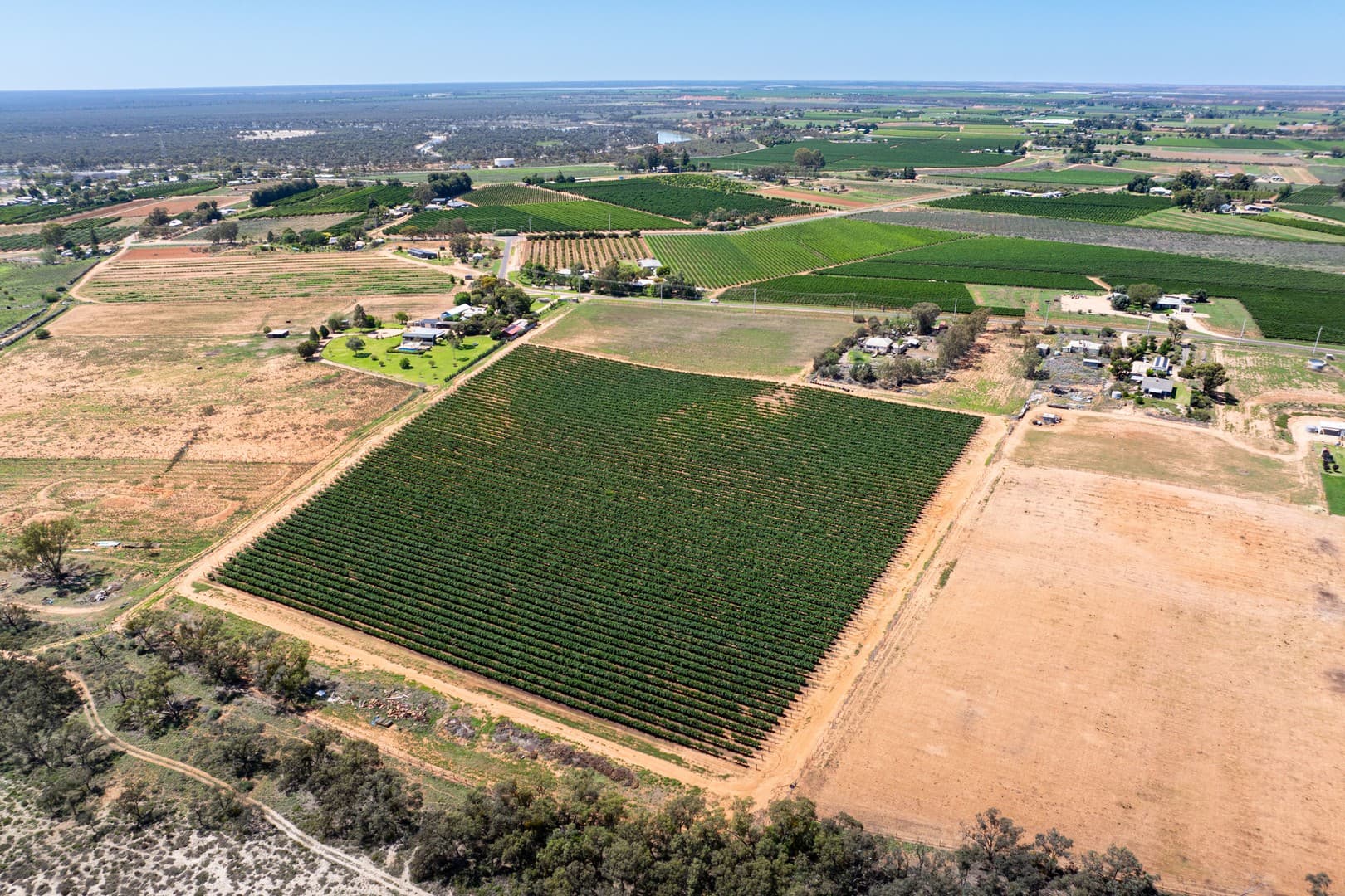 2 Buloke Street, Red Cliffs, VIC 3496, Red Cliffs - Thumbnail 7