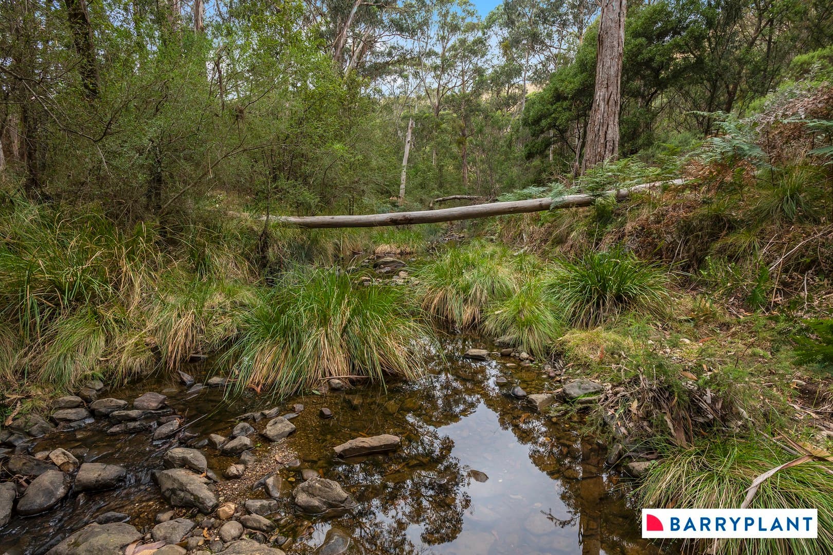 1728 Gisborne Road, Coimadai, VIC 3340, Coimadai - Thumbnail 6