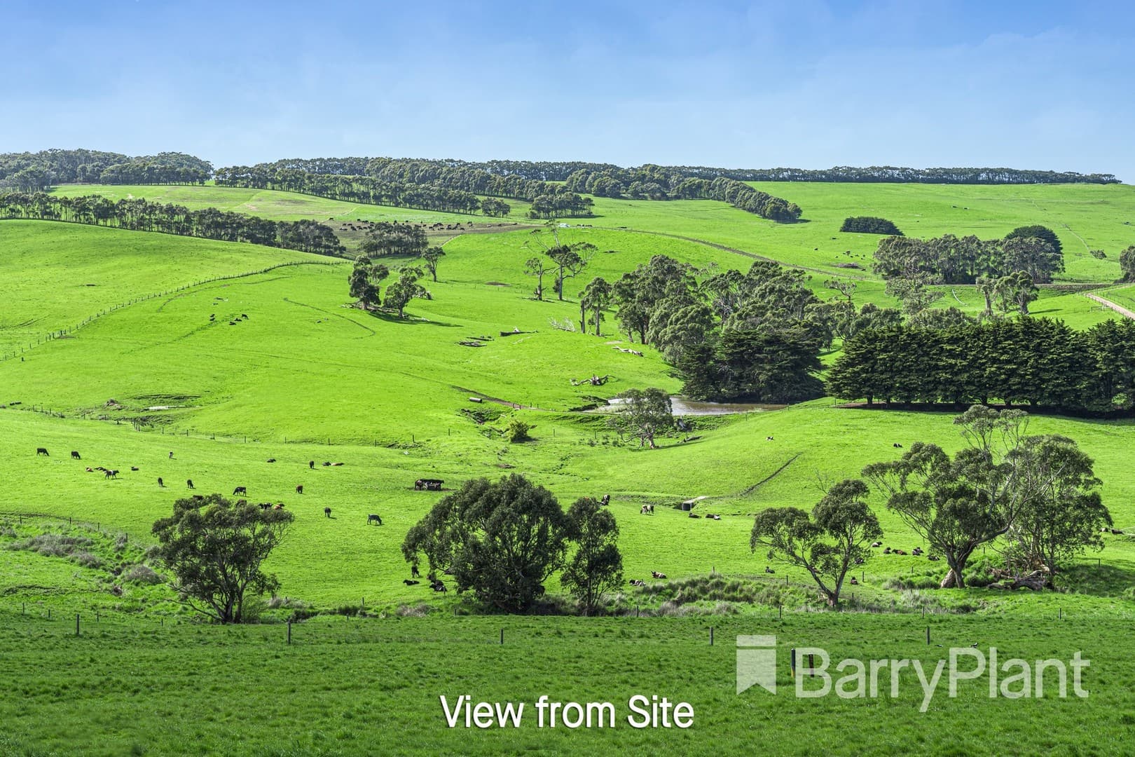 1/36 Alsops Road, Newfield, VIC 3268, Newfield - Thumbnail 6