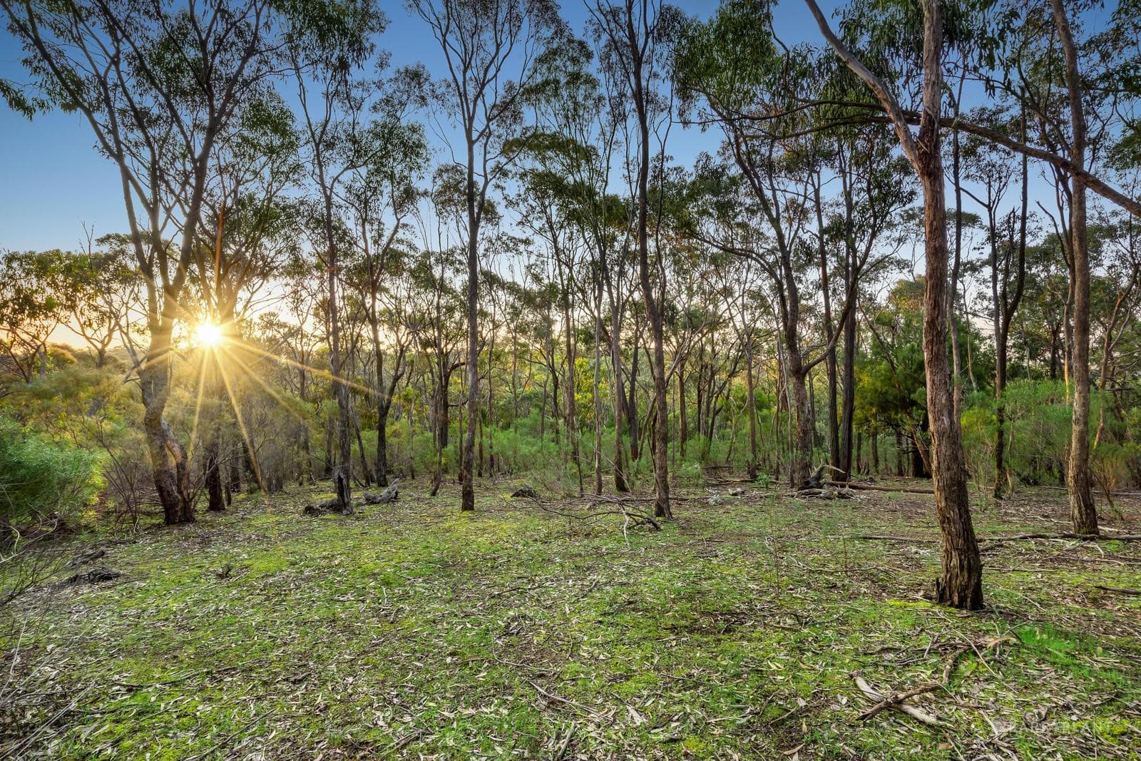 210 Shaws Road, Cottles Bridge, VIC 3099, Cottles Bridge - Thumbnail 4
