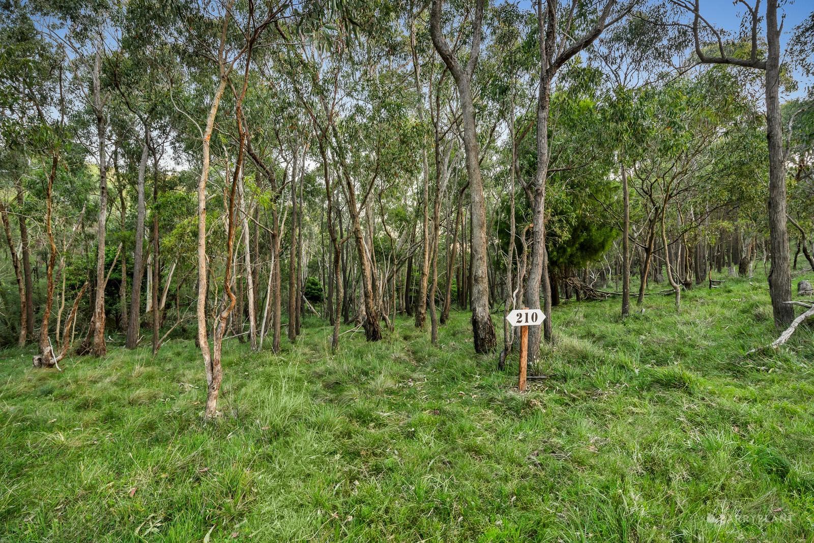 210 Shaws Road, Cottles Bridge, VIC 3099, Cottles Bridge - Thumbnail 5