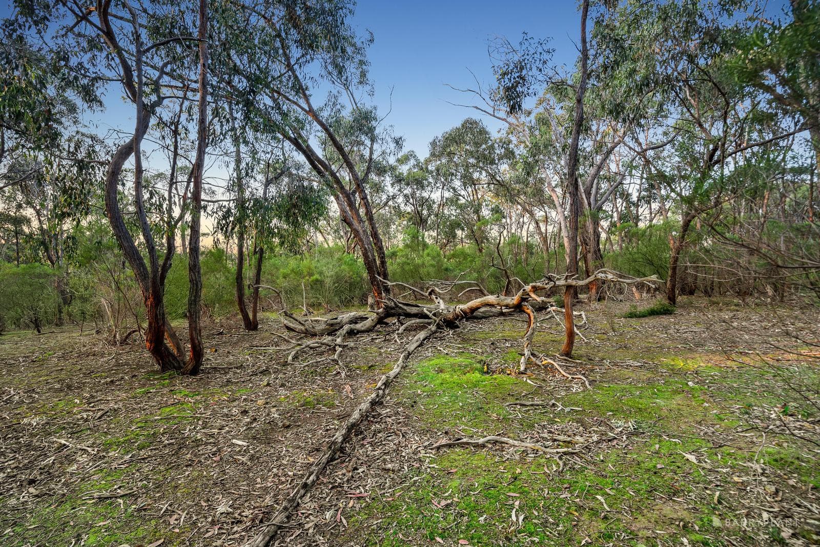 210 Shaws Road, Cottles Bridge, VIC 3099, Cottles Bridge - Thumbnail 6