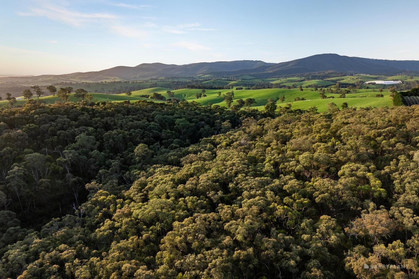 210 Shaws Road, Cottles Bridge, VIC 3099, Cottles Bridge - Thumbnail 7