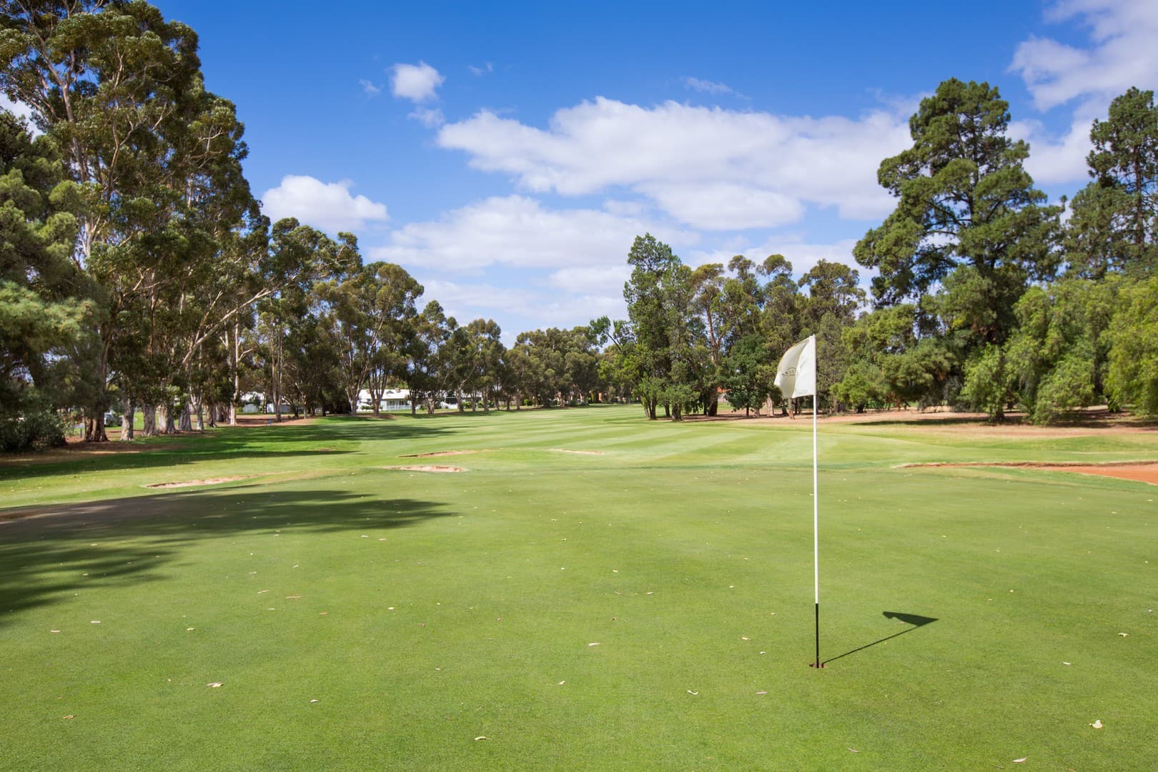 142 Fairways Drive, Mildura, VIC 3500, Mildura - Thumbnail 3