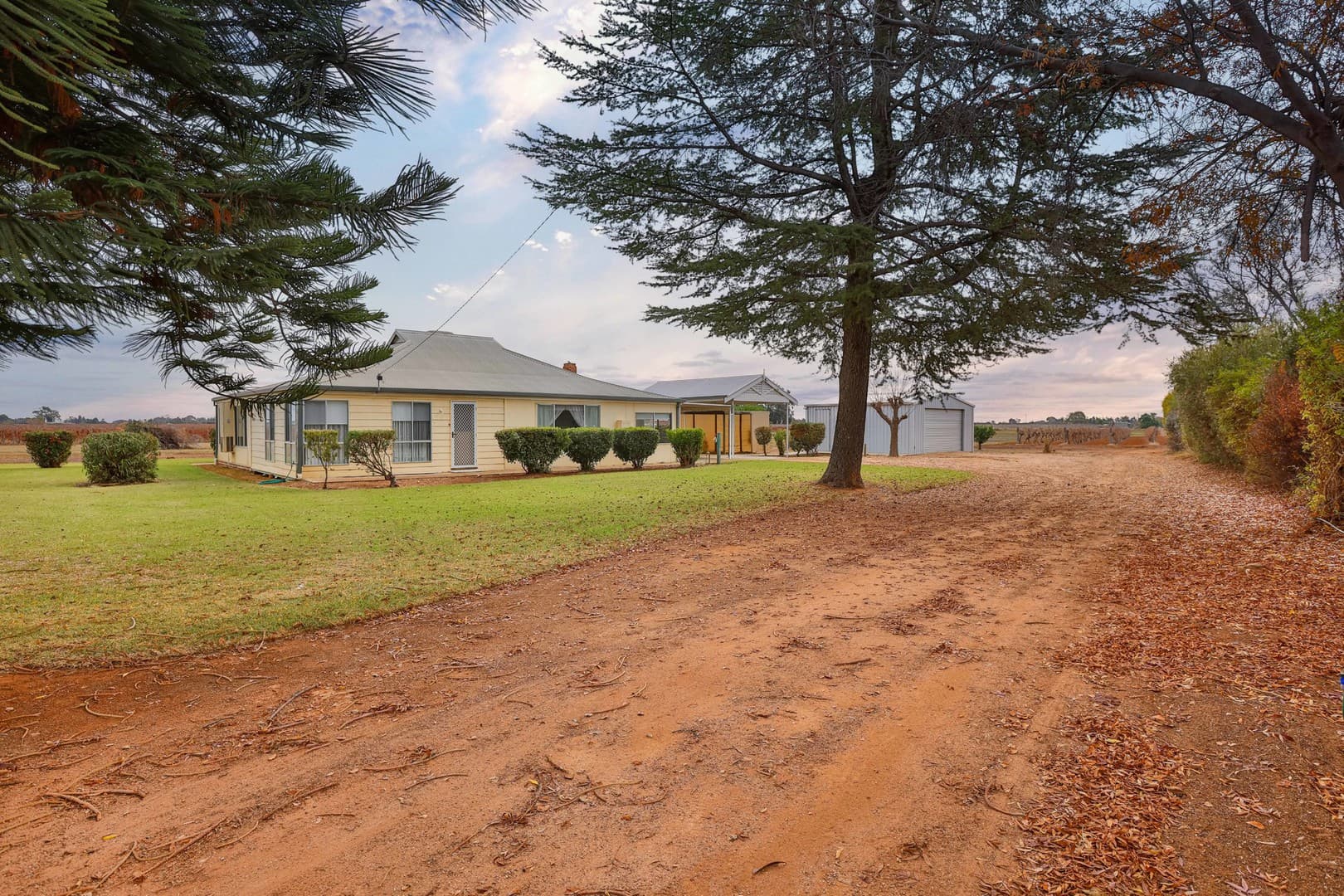 26 Milne RoadRed Cliffs, vic 3496, Red Cliffs - Thumbnail 2