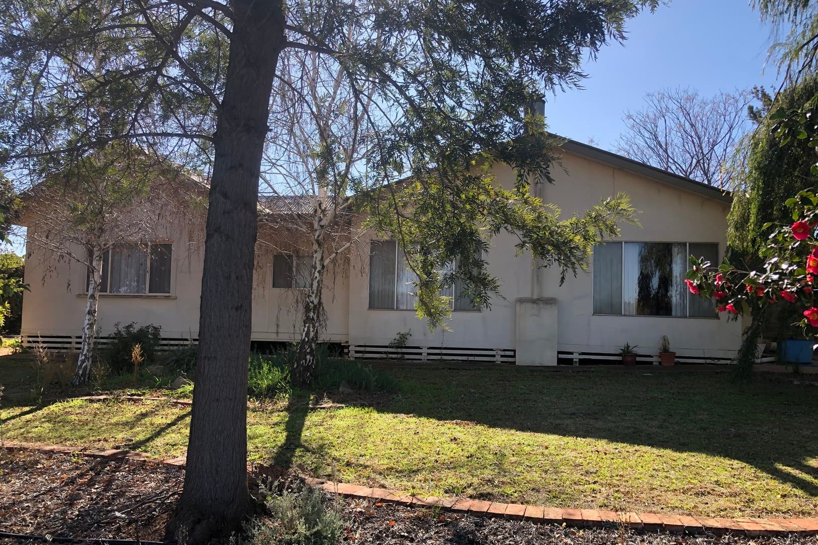 59 Chanters Lane, Trentham Cliffs, NSW 2738, Trentham Cliffs - Thumbnail 4