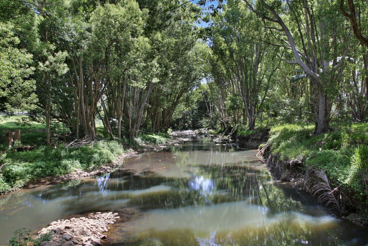1039 Currumbin Creek Road, Currumbin Valley QLD 4223, Currumbin Valley Property Image - Thumbnail 4